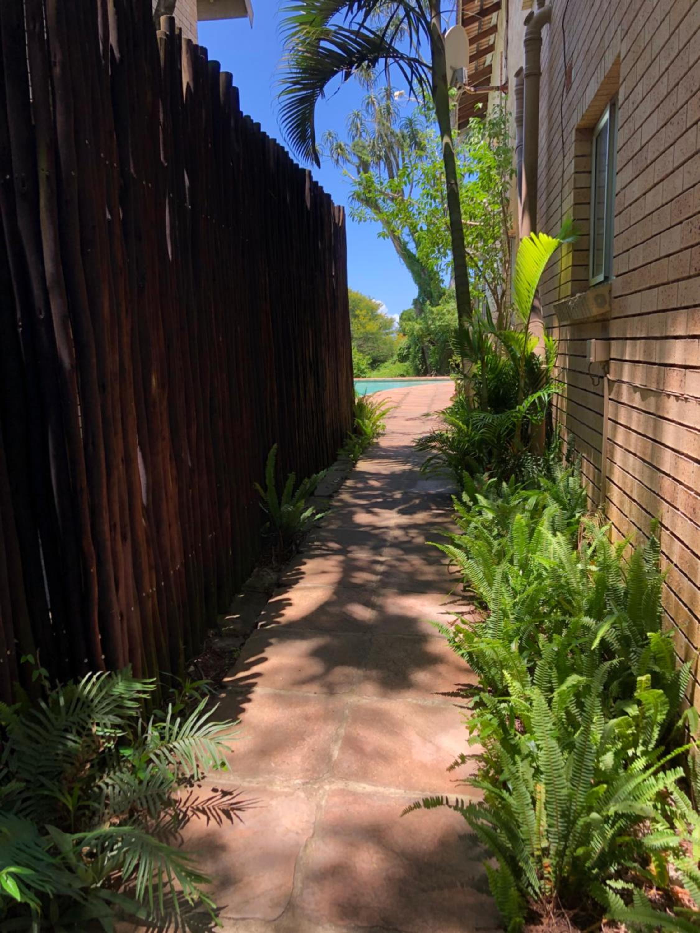 Photo 25