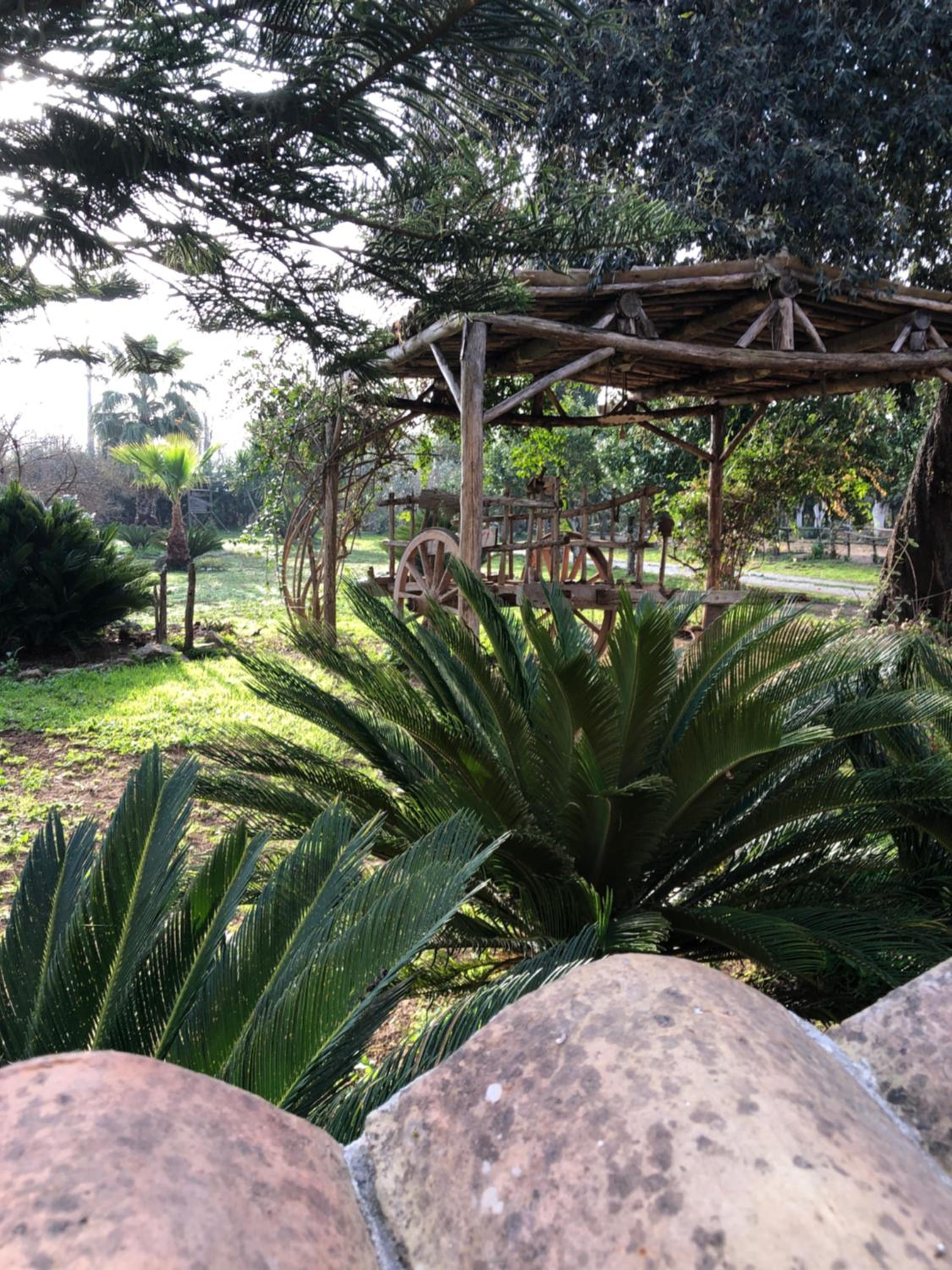 Decri resort, photo 144