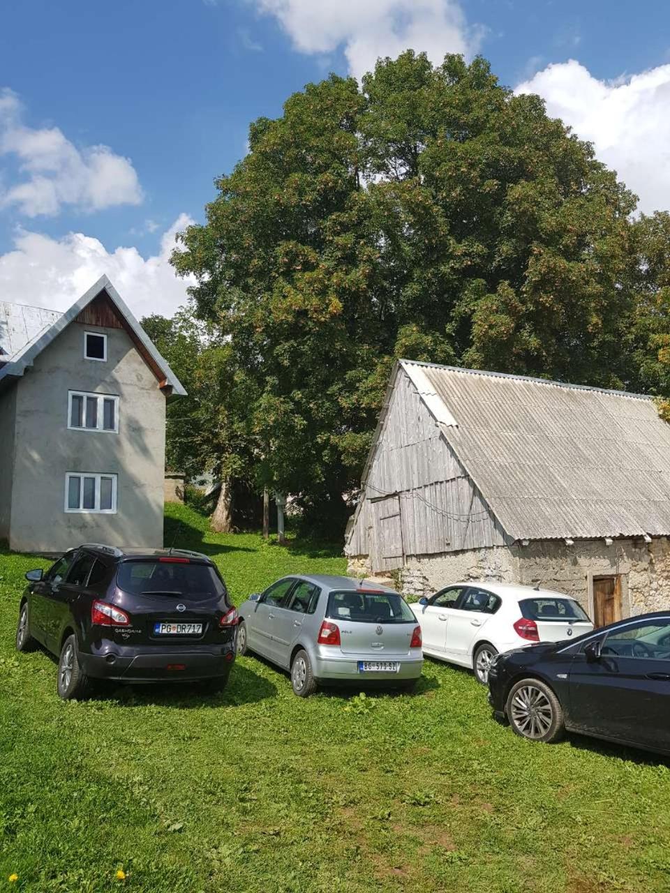 Photo 21