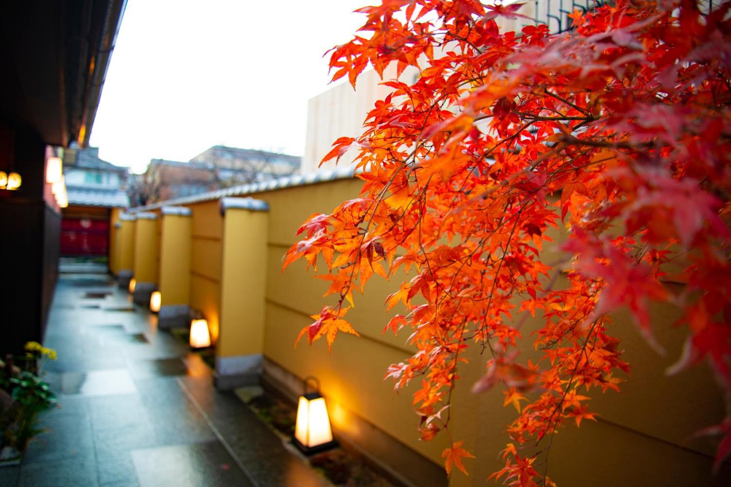 Kyoto Takasegawa Bettei 16