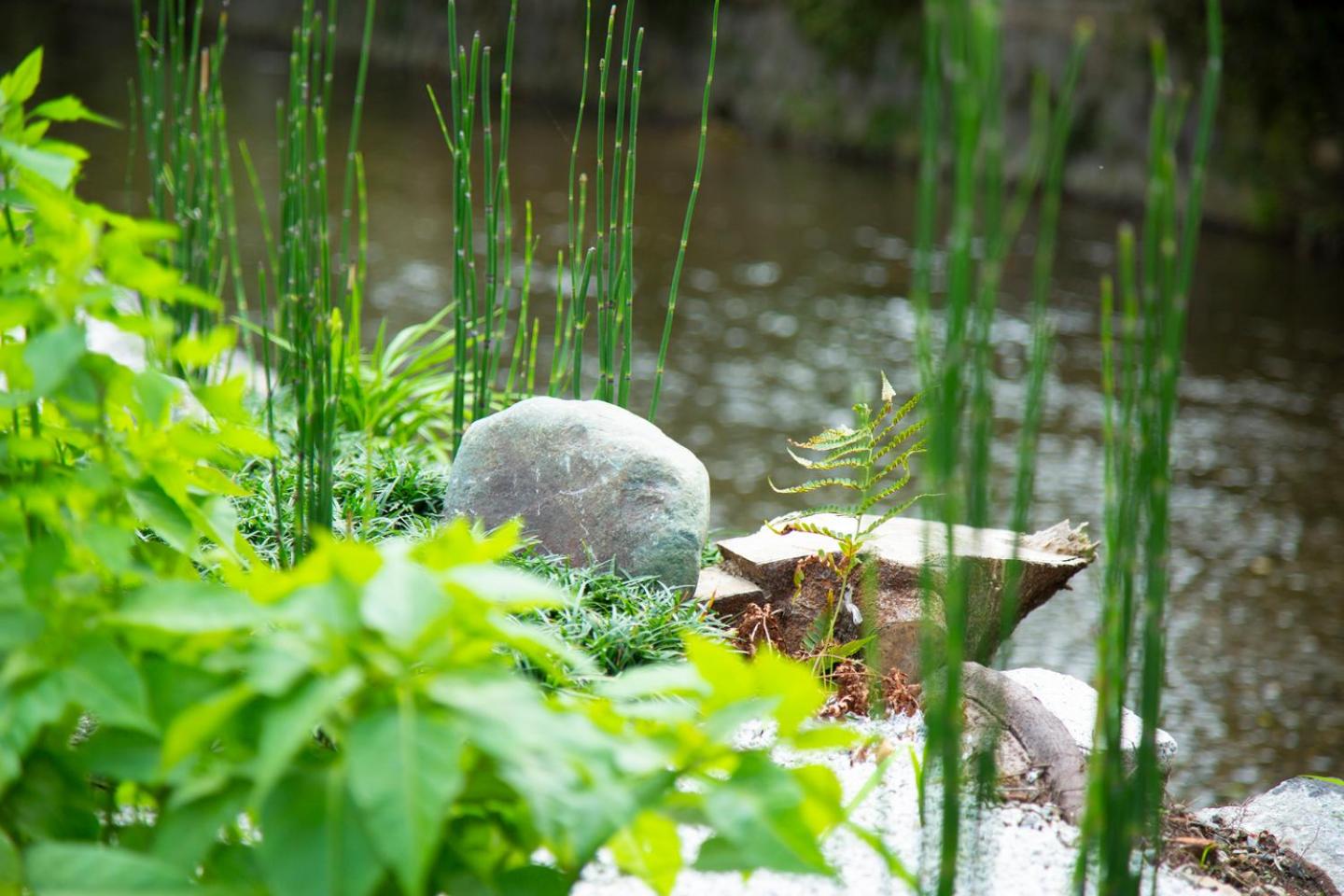 Kyoto Takasegawa Bettei 26