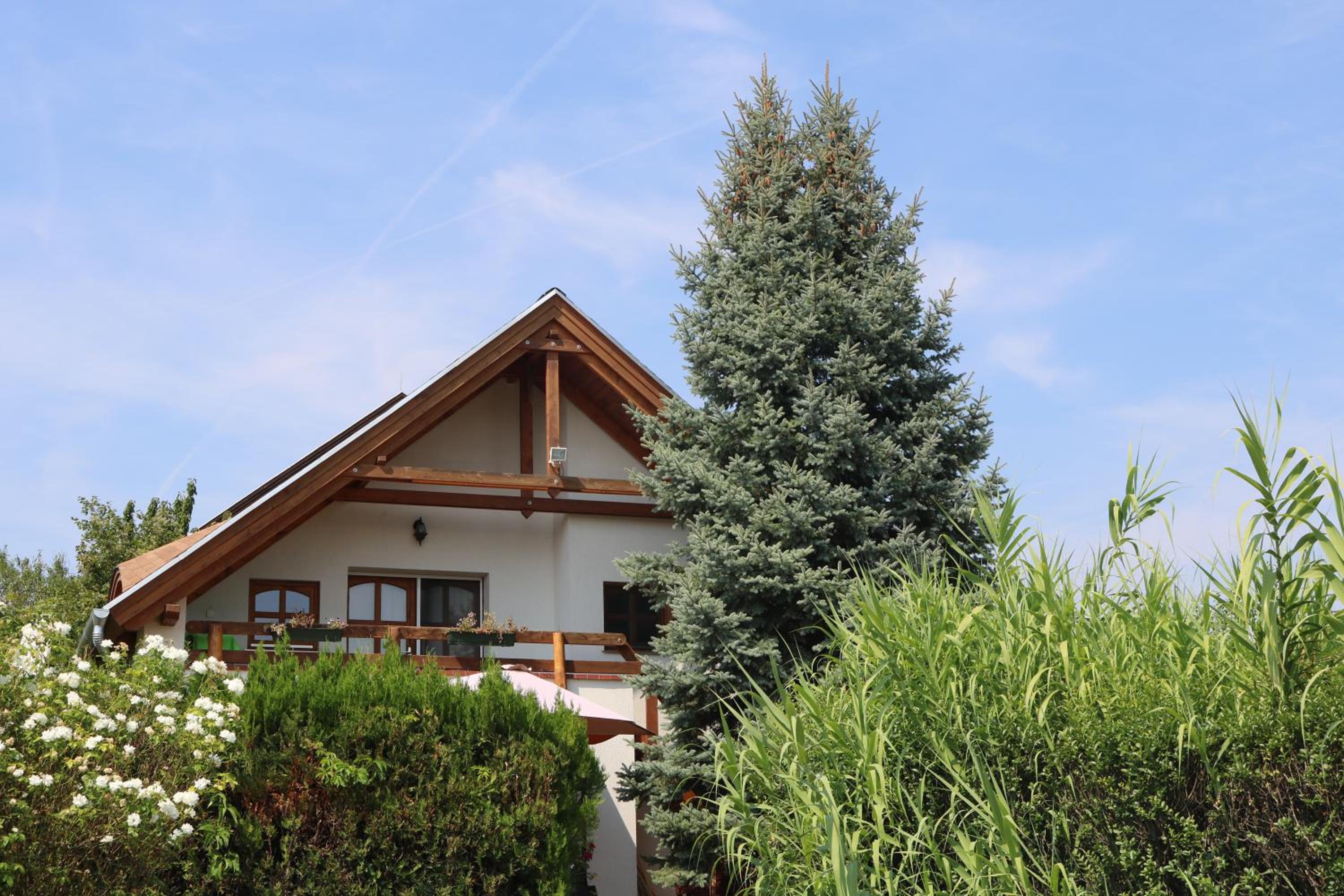 Mandel Apartment