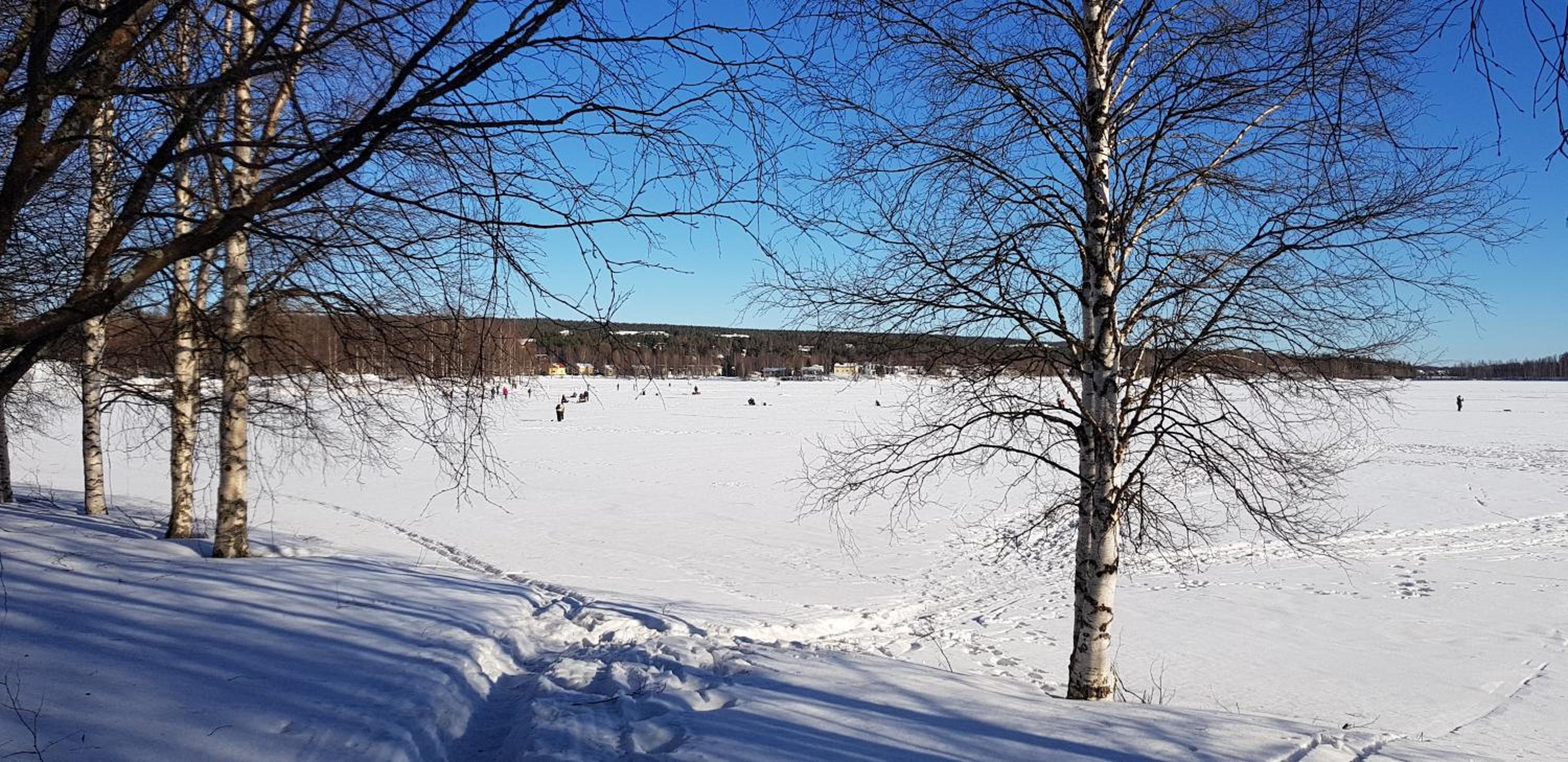Kismet By BookLapland