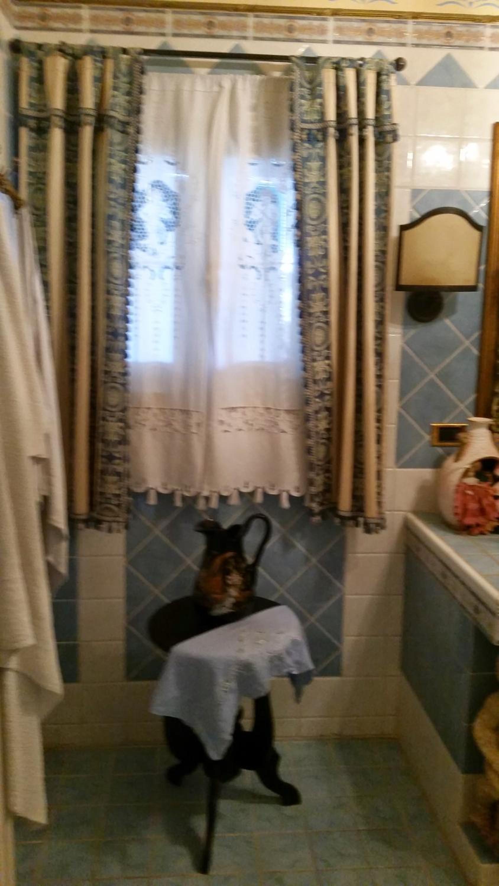 Photo 36