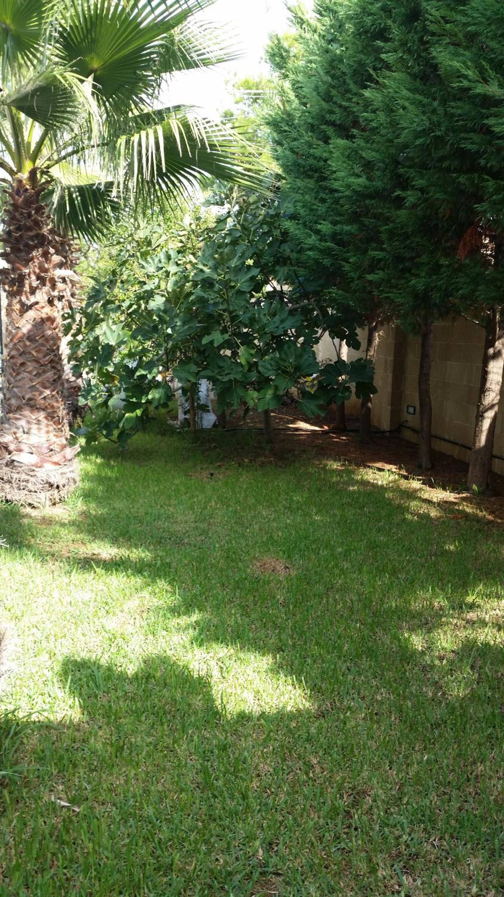 Photo 45