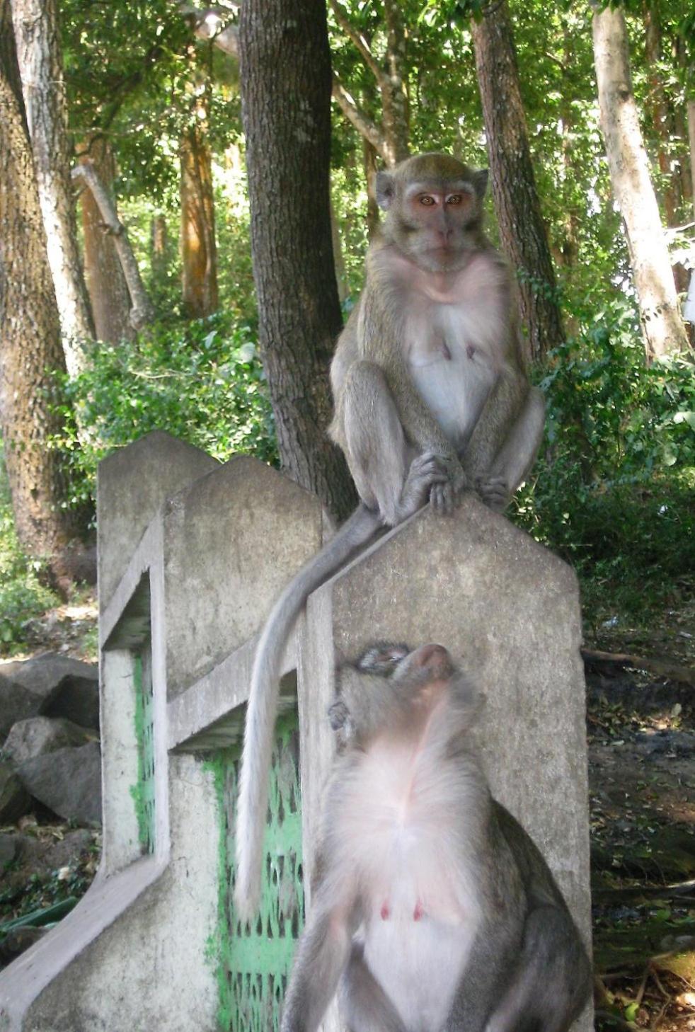 Photo 40