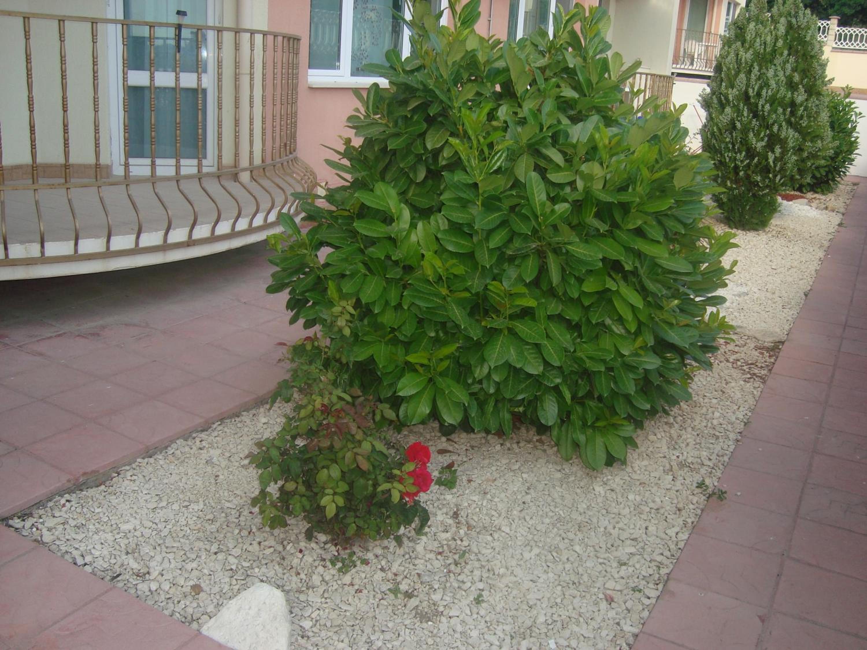 Apartment А13 in Sea Paradise Complex view 3