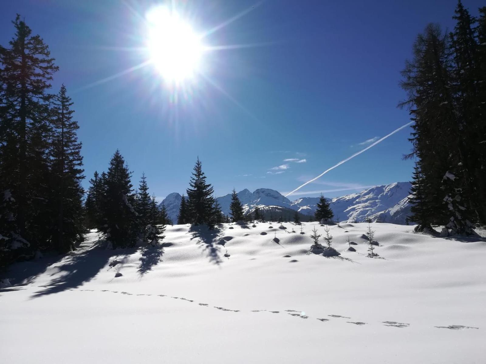 Waldfrieden