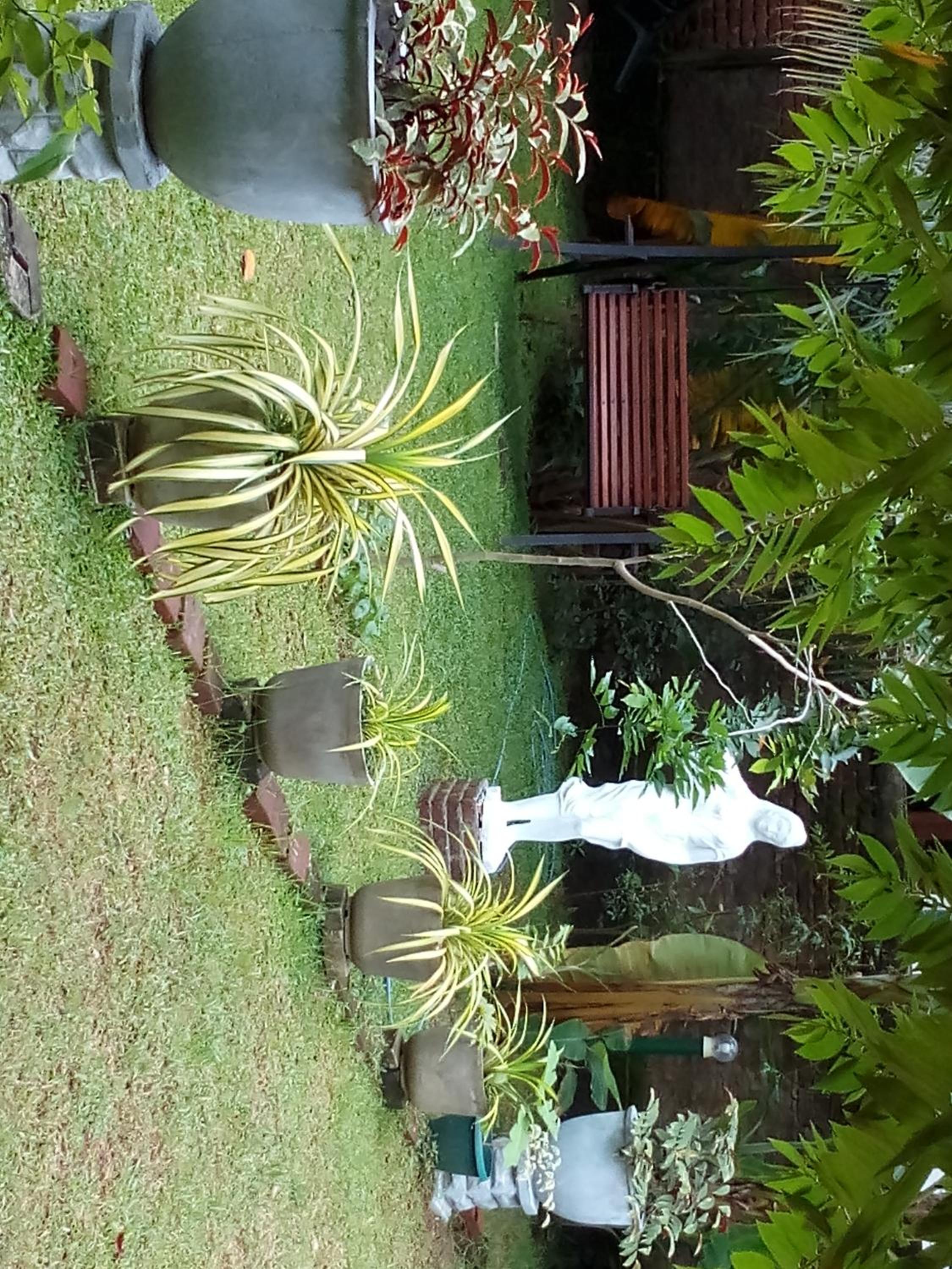 Waterway garden view 5