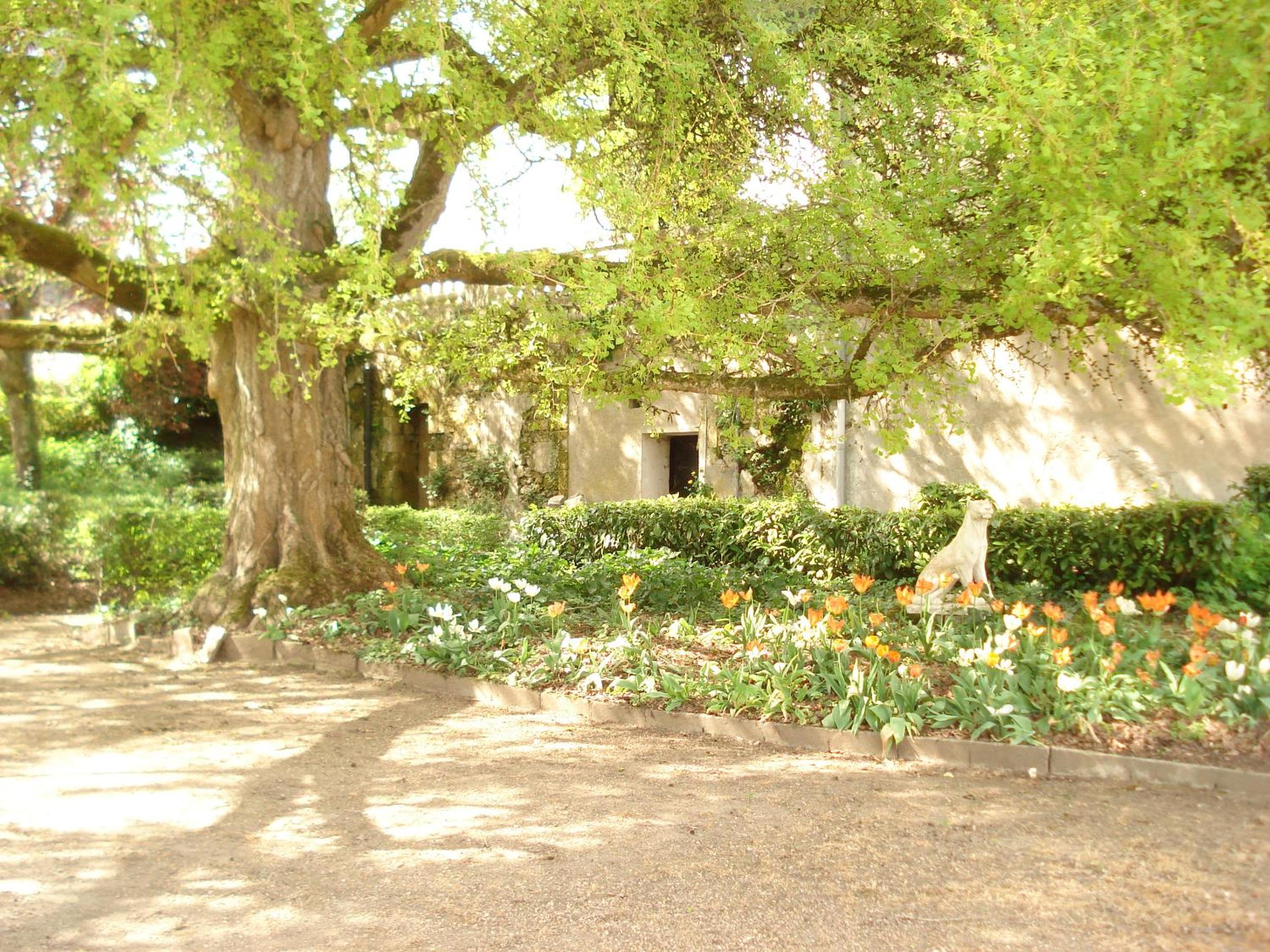 Photo 49