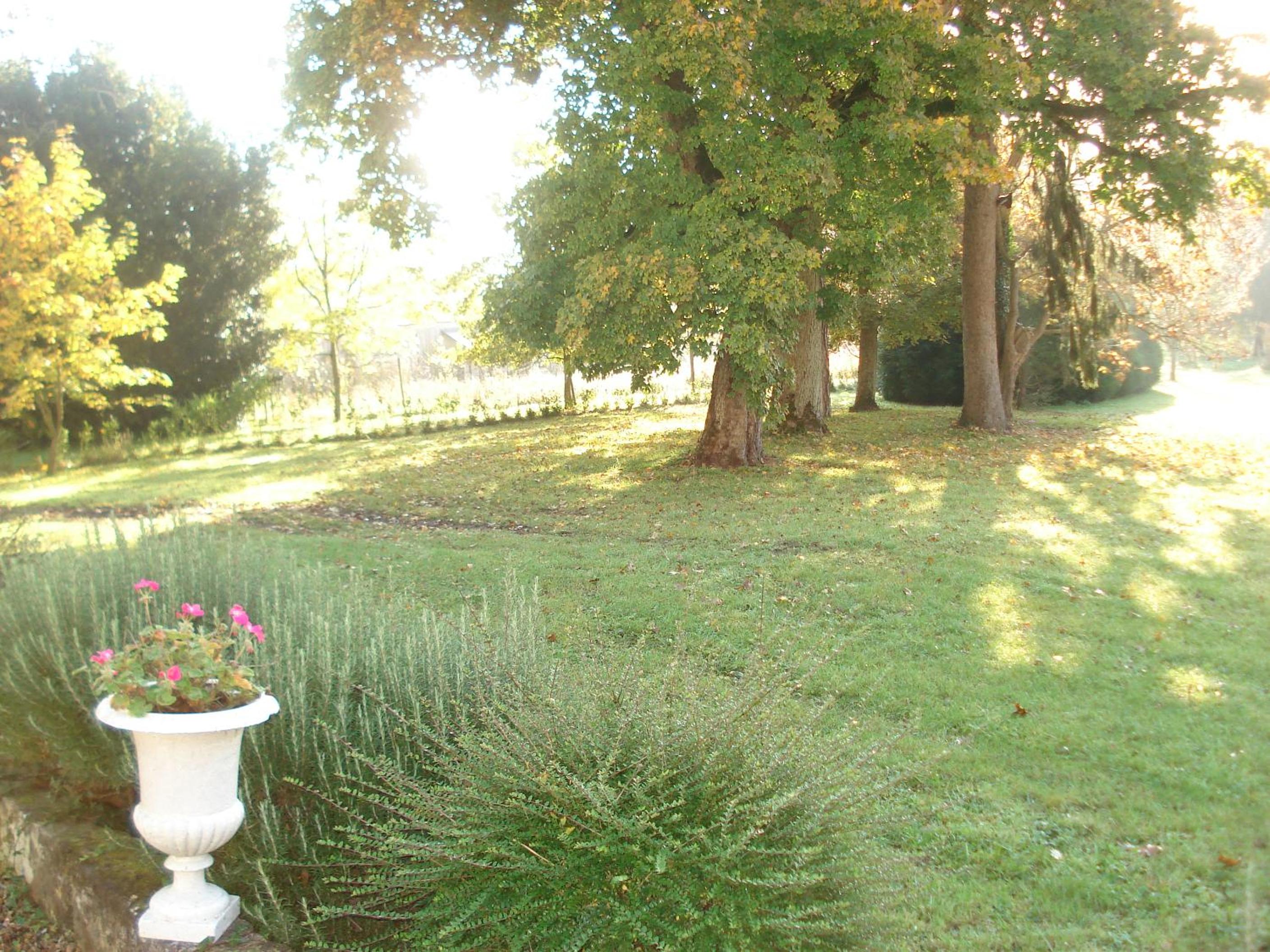 Photo 51