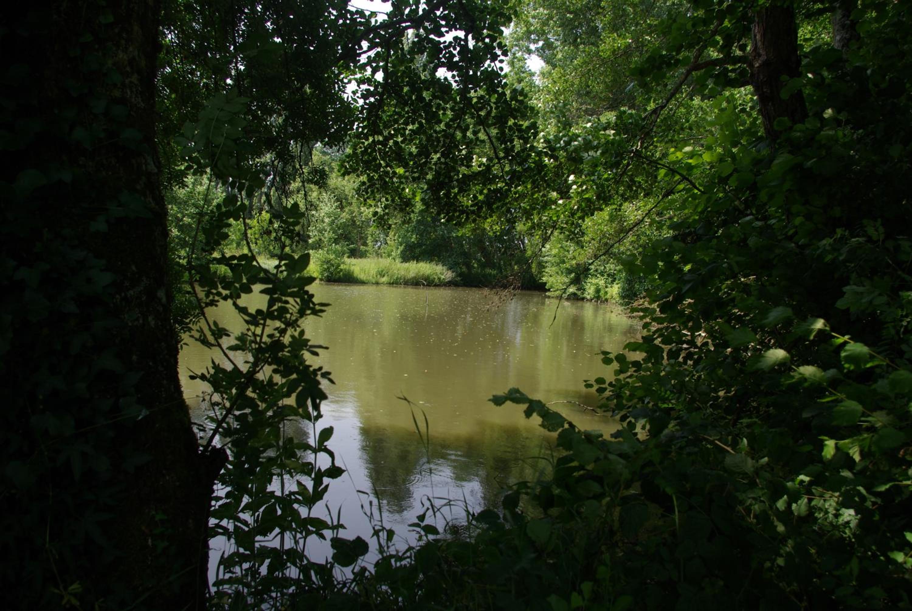 Photo 31