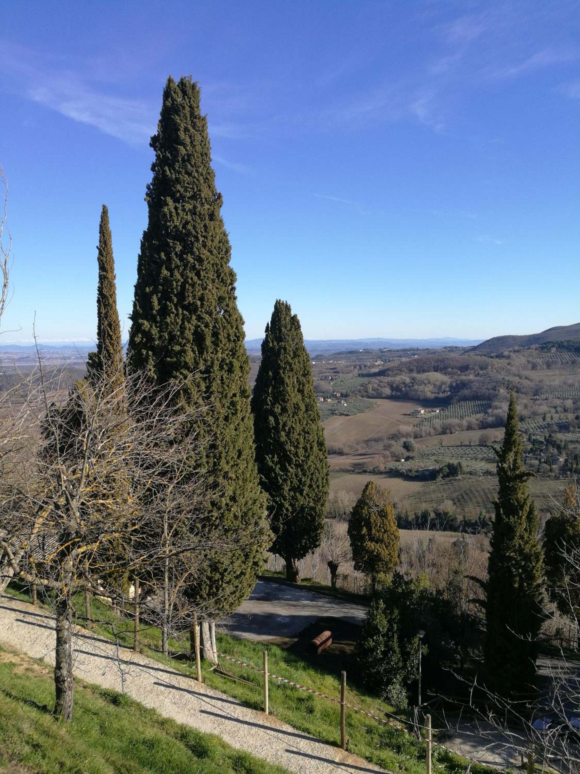CASA SERENA photo 3