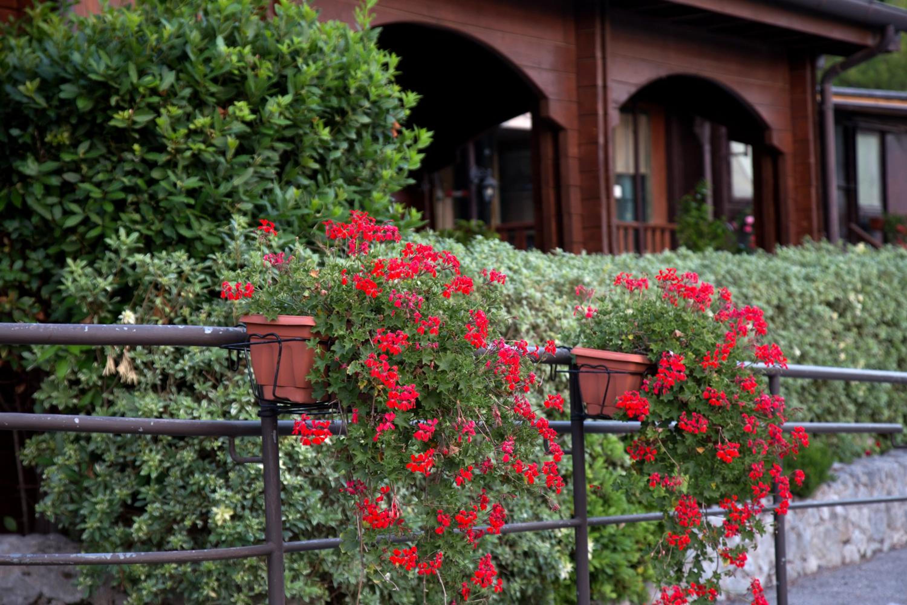 Agriturismo Il Mio Casale view 3