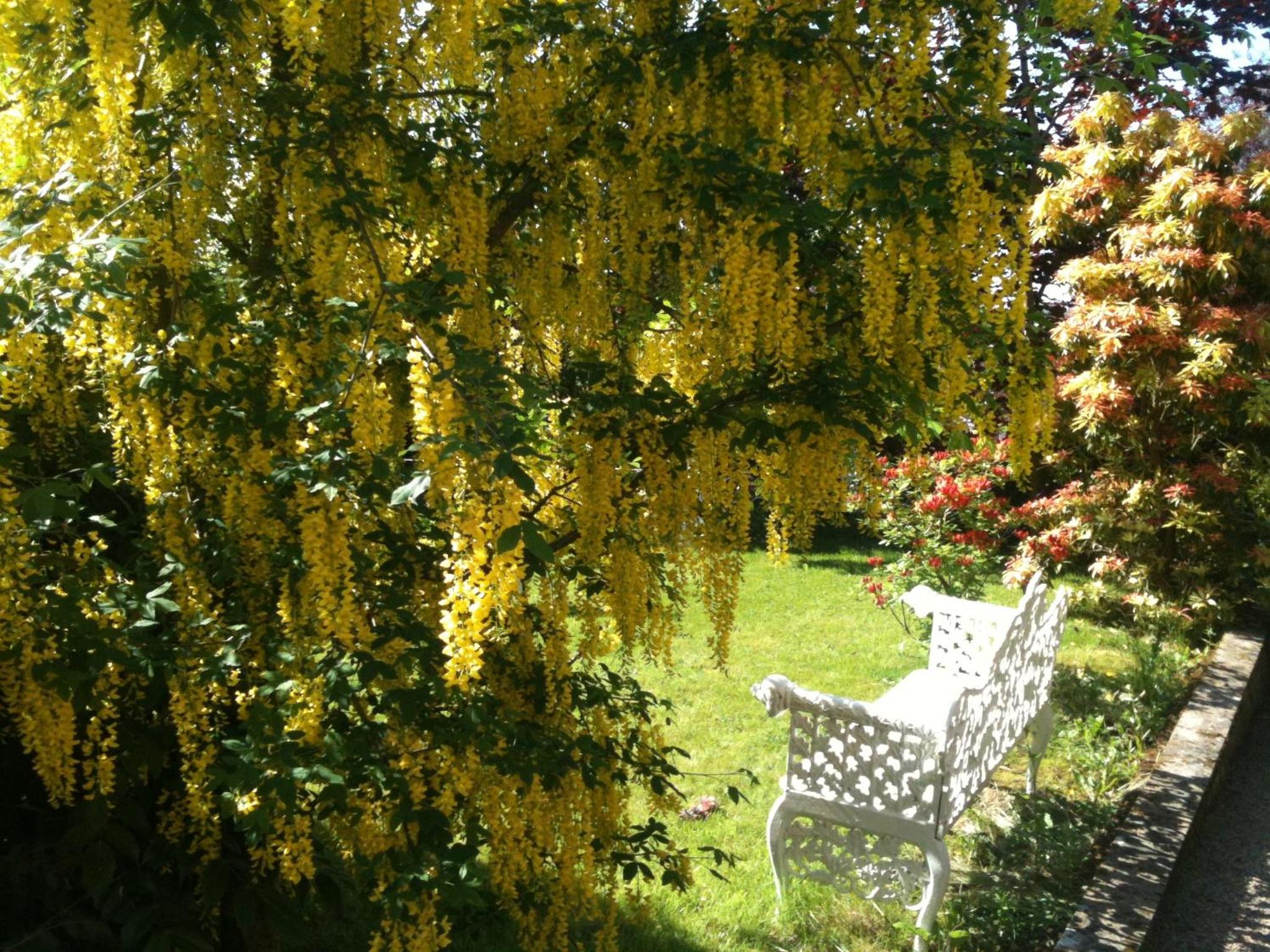 Charlemont House Moy