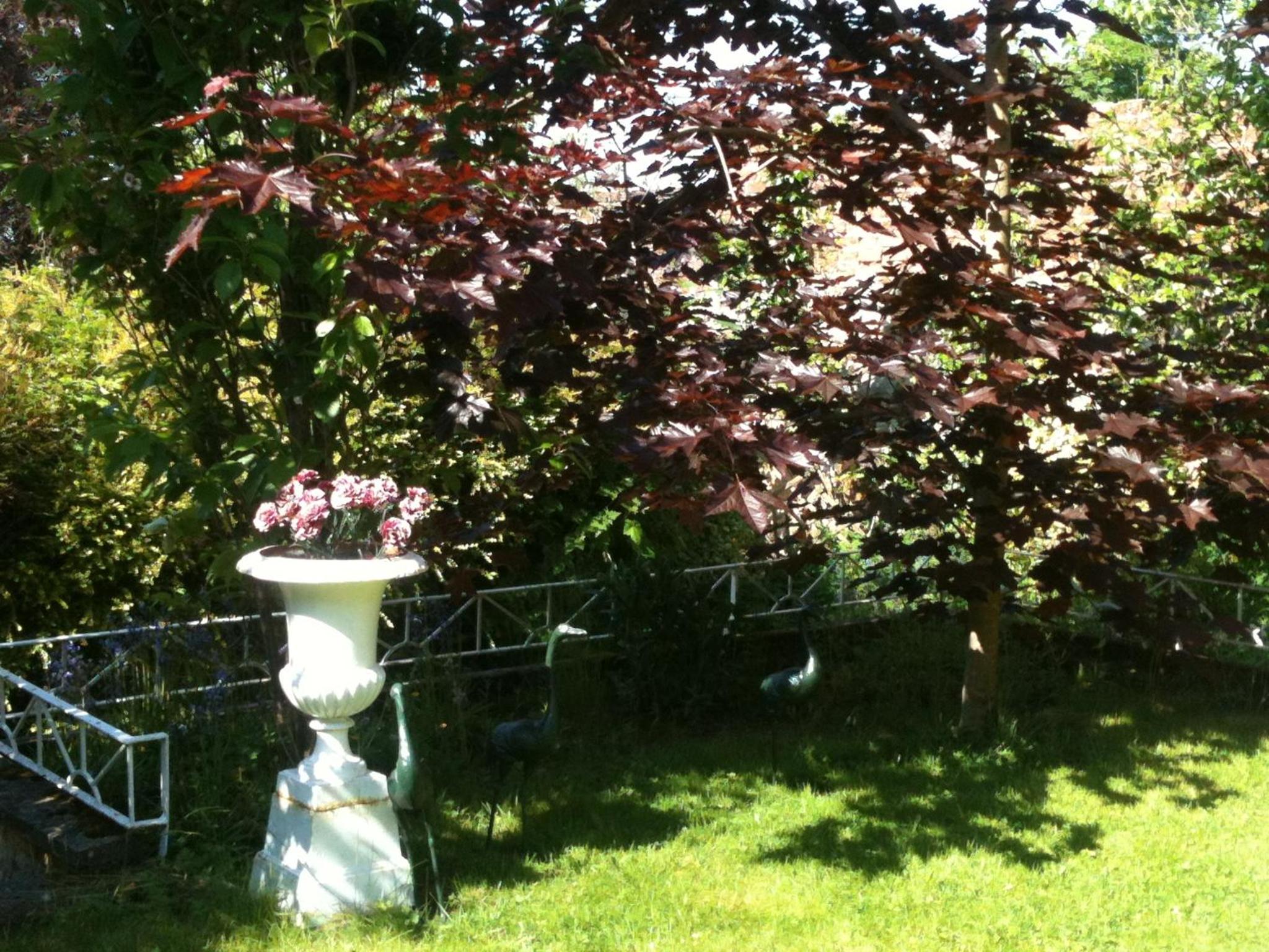 Charlemont House Moy