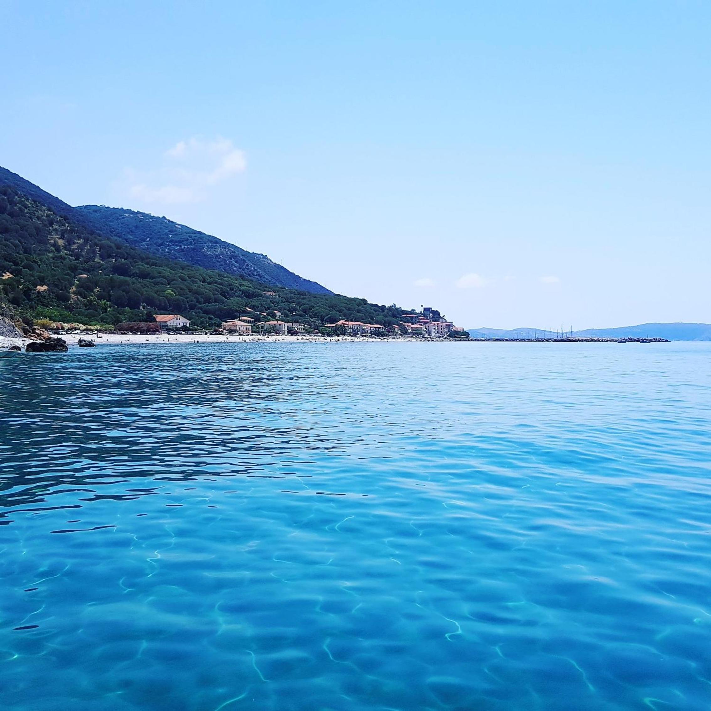 Photo 46