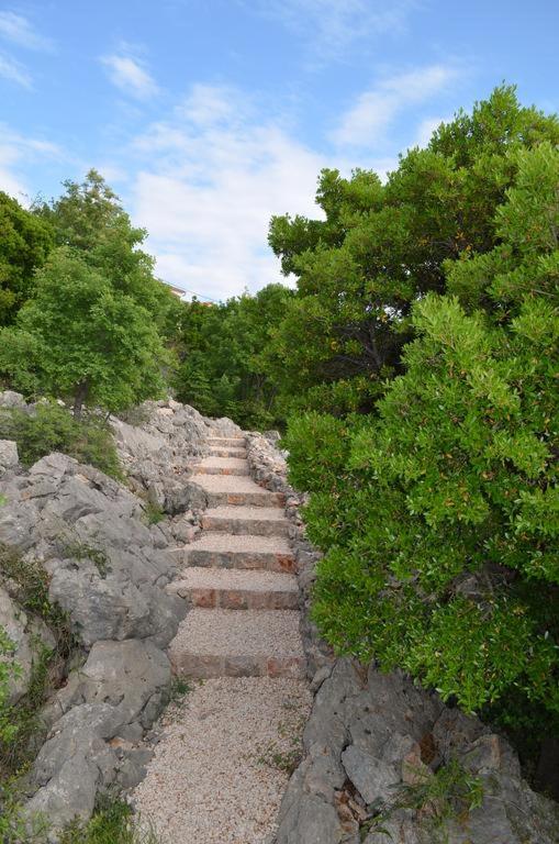Photo 36
