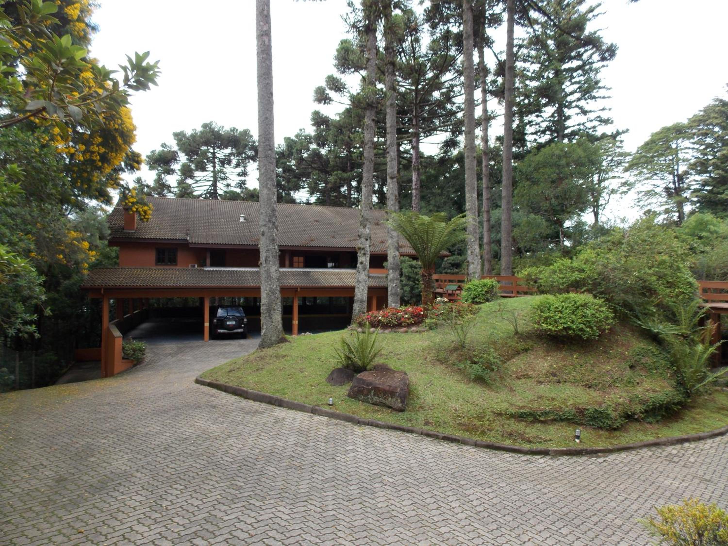 Photo 46