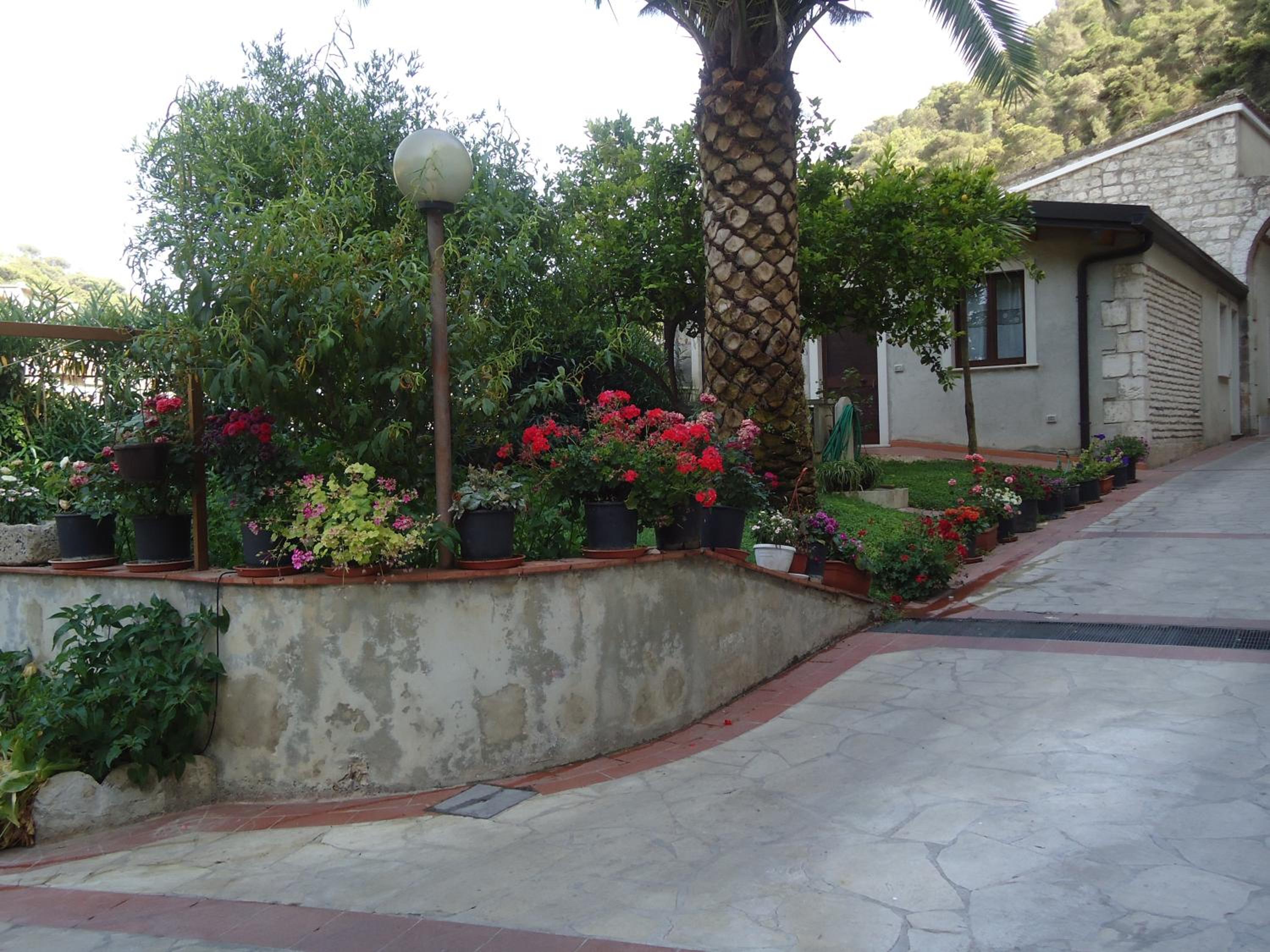 Photo 41