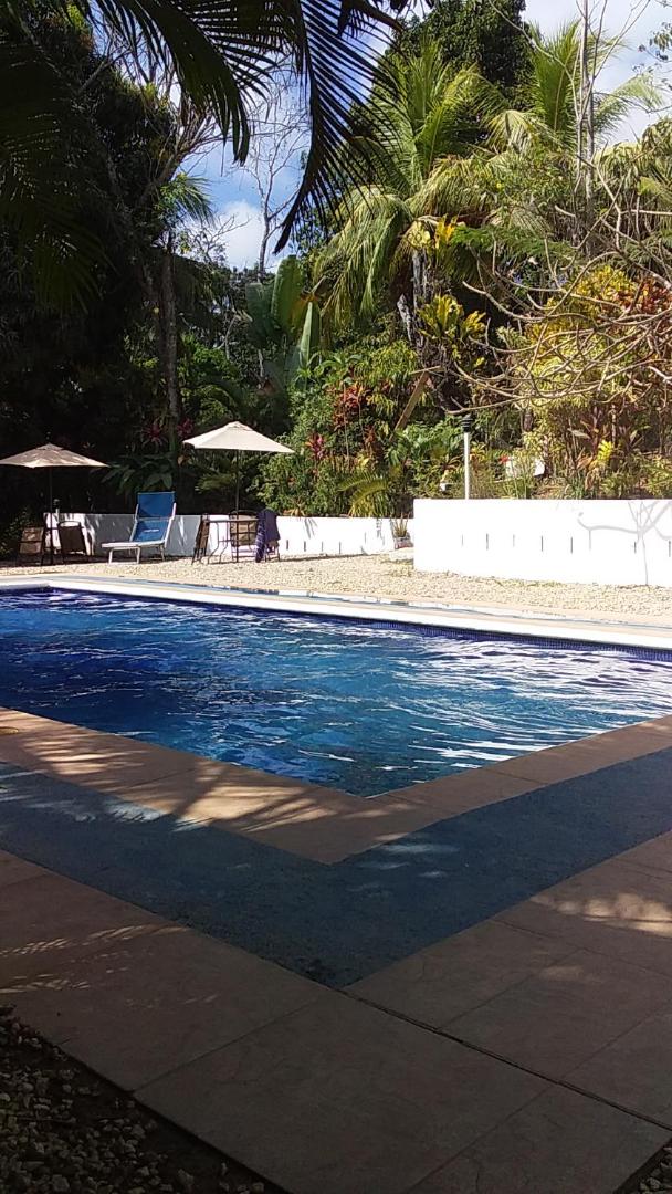 Blanconejo de Montezuma