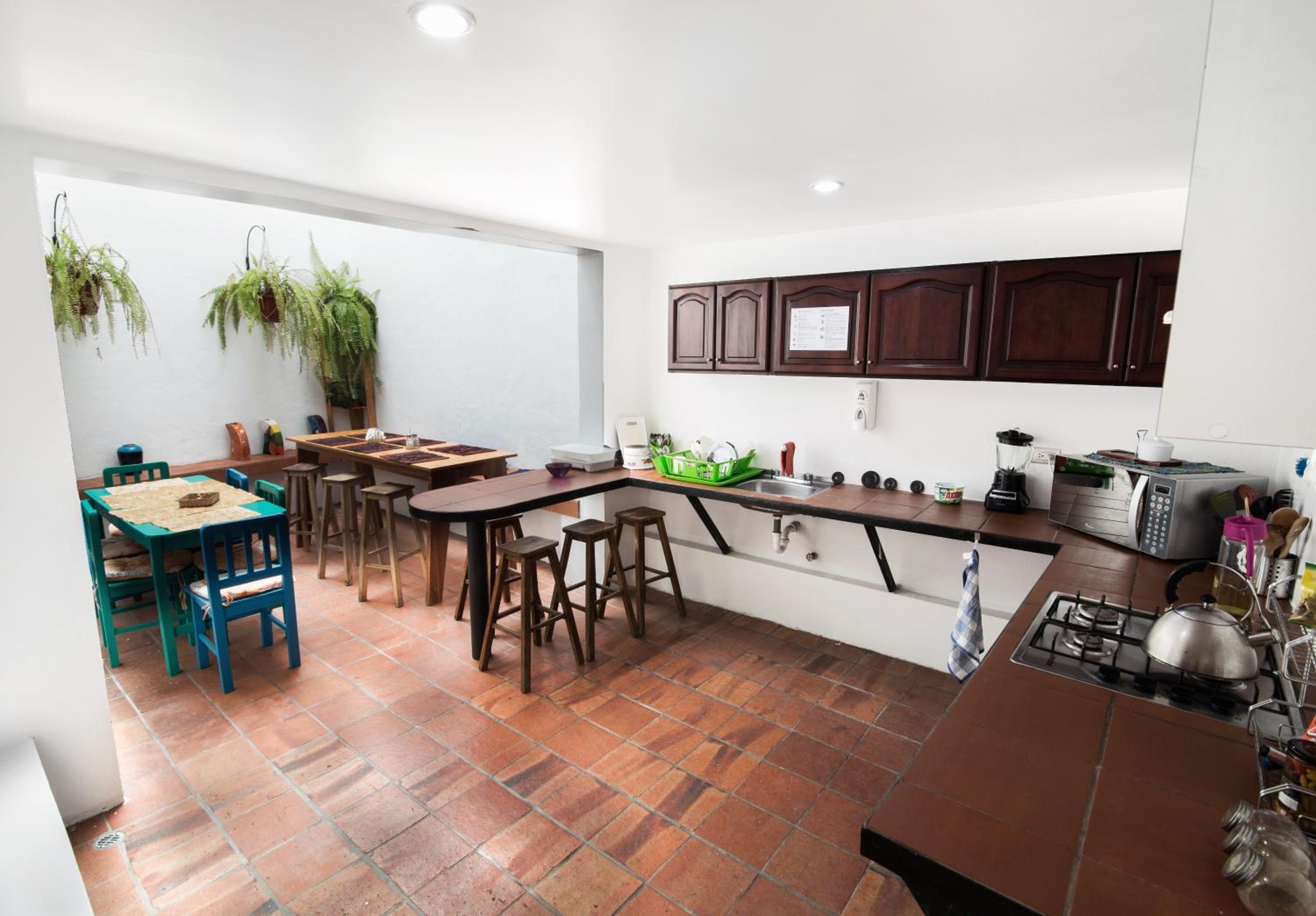 AlterNative Hostels, photo 49