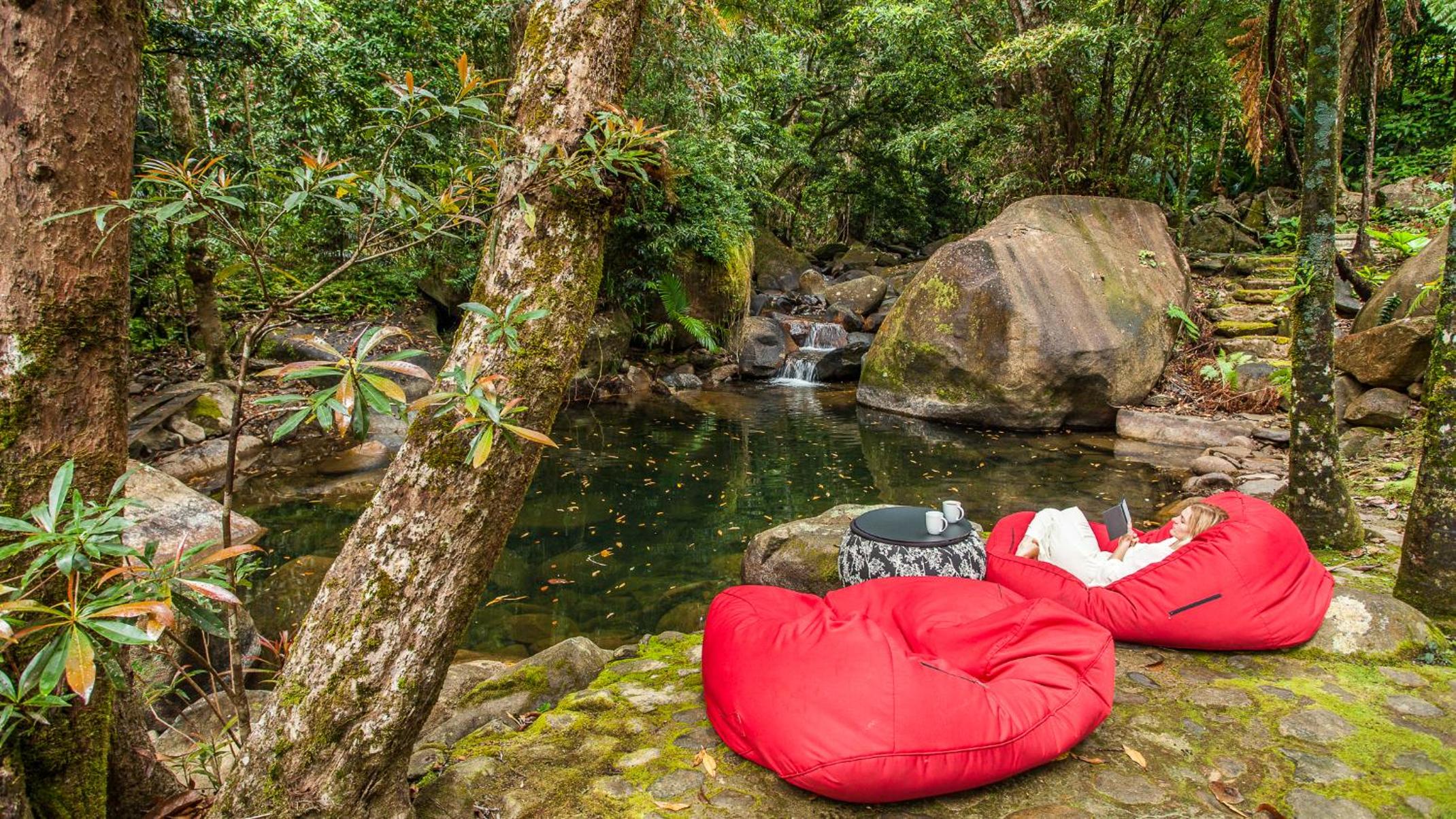 Daintree Secrets Rainforest Sanctuary