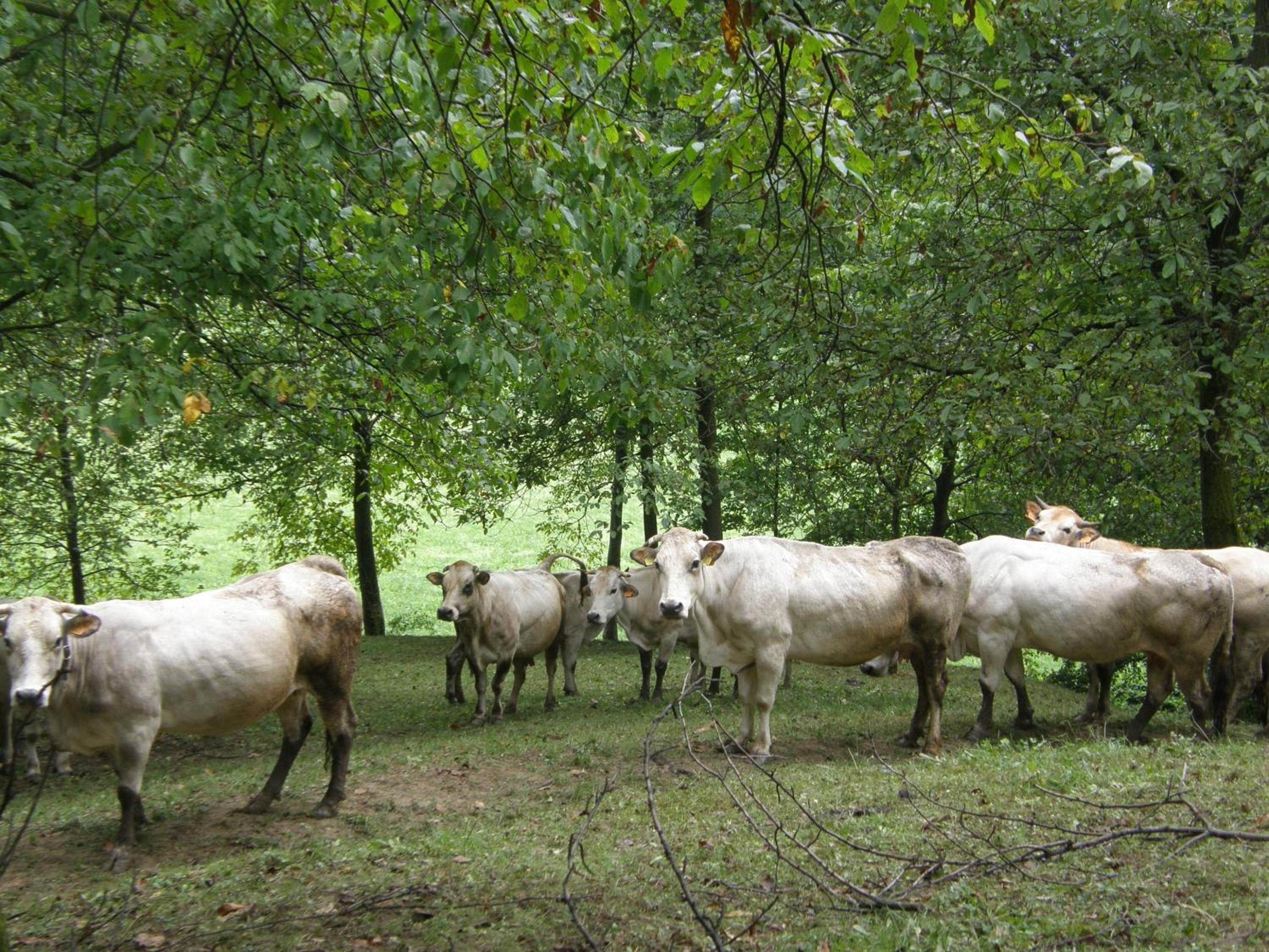 Agriturismo La Meridiana