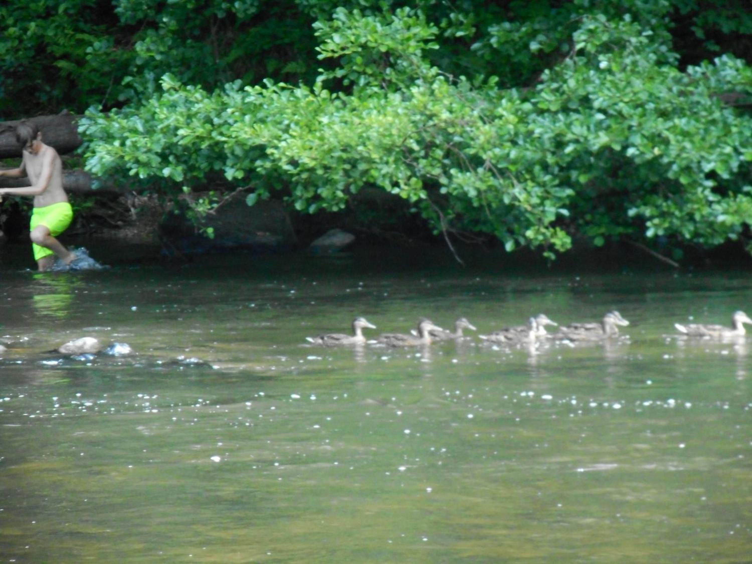 Photo 25