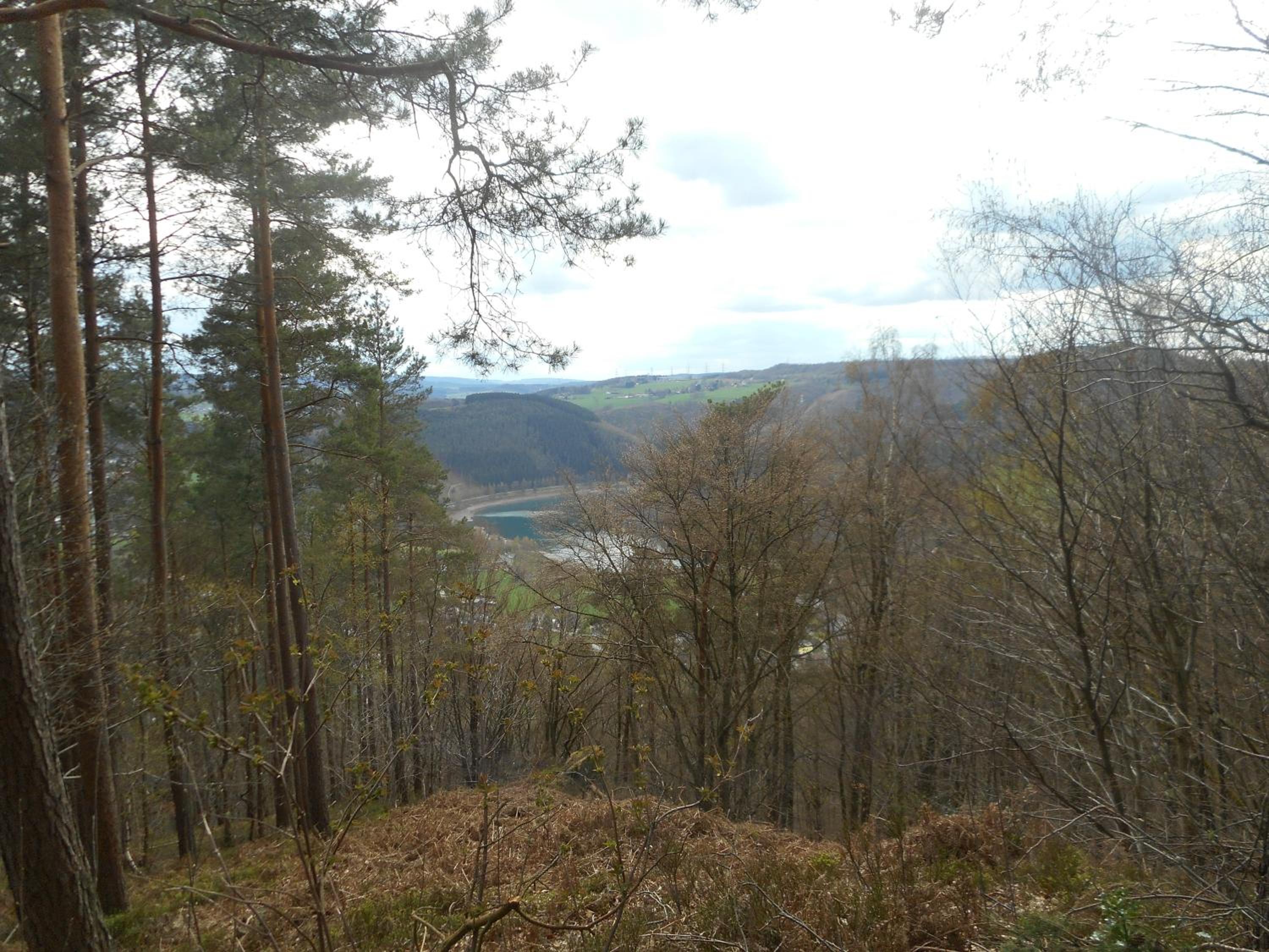 Photo 42