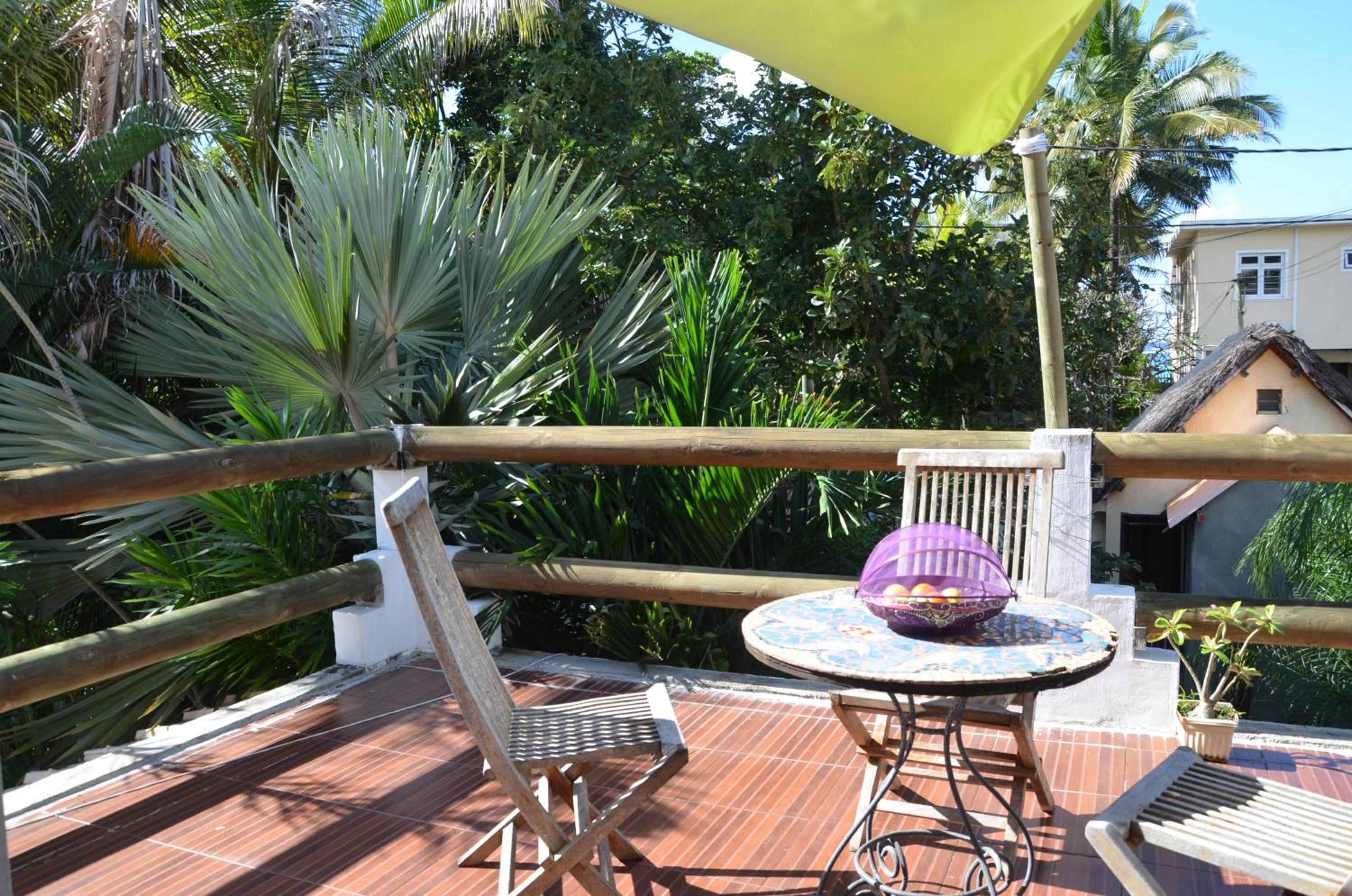 serin du cap photo 3