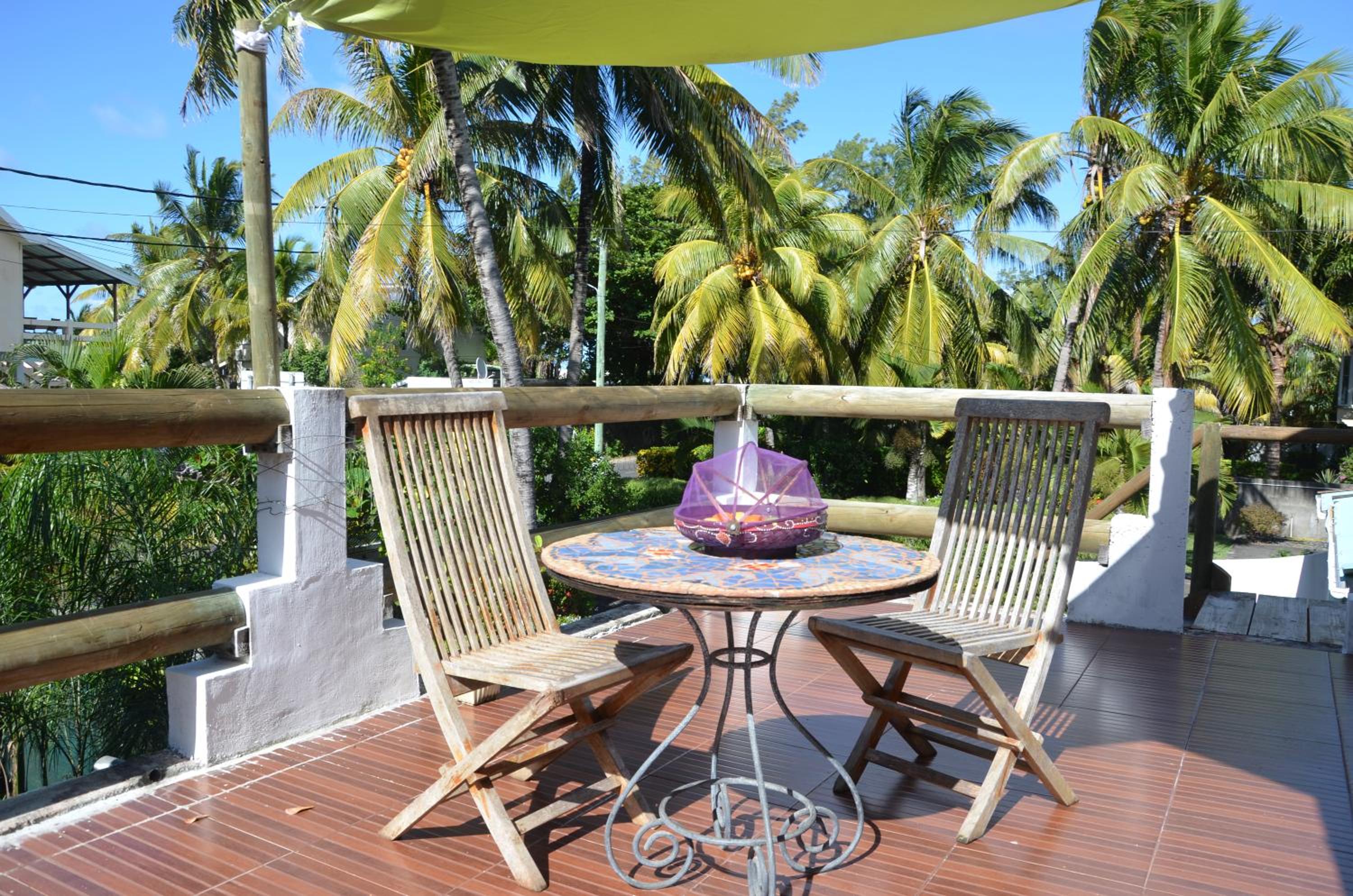 serin du cap photo 4