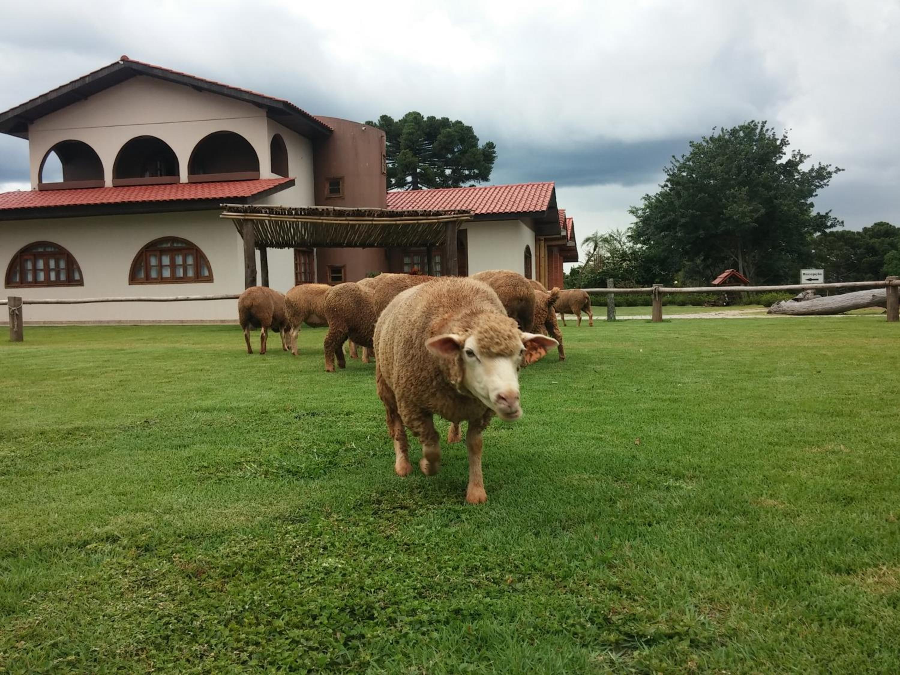 Hotel e Camping Espaço Verde Pousada