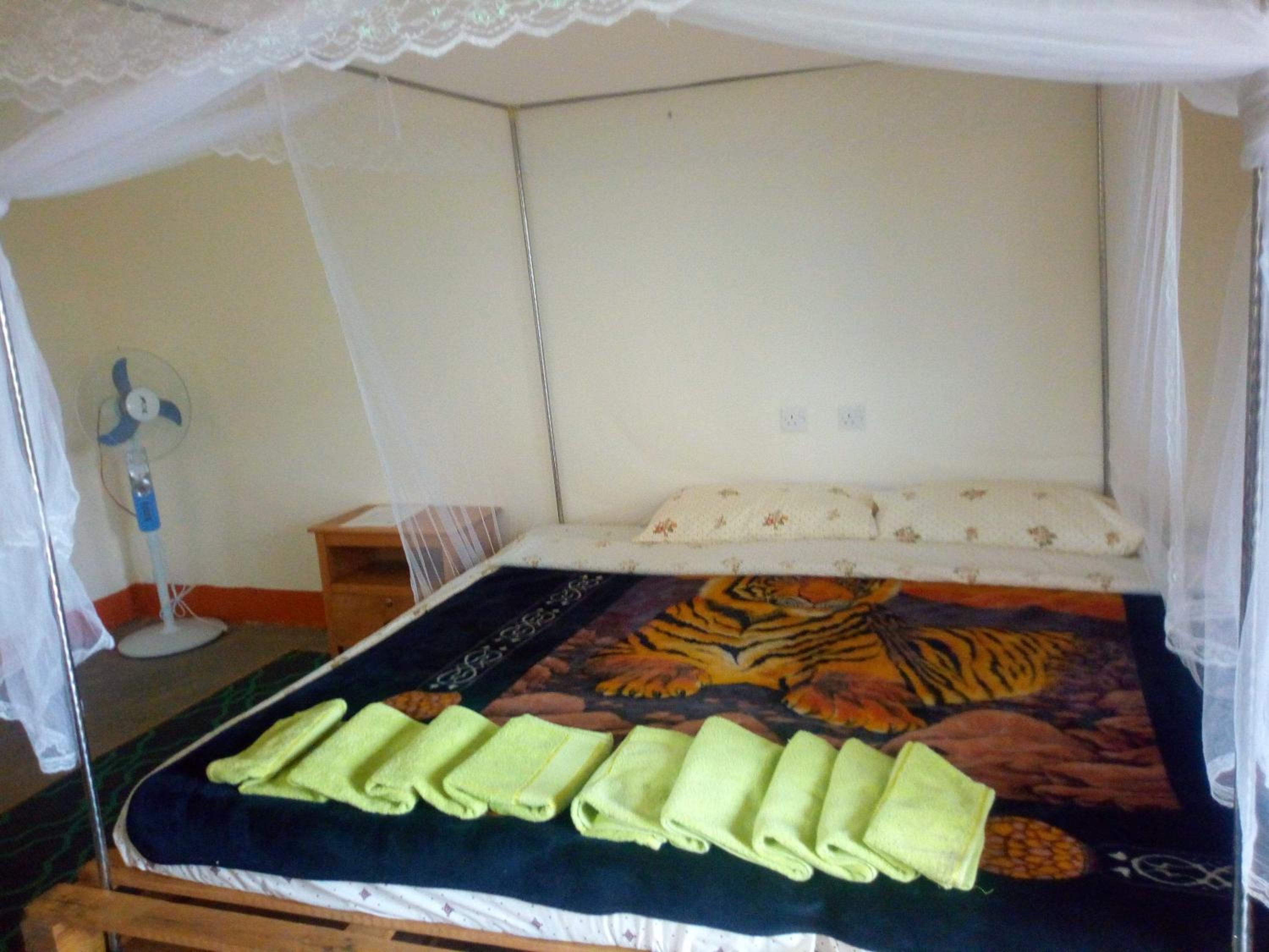 The Elephant Home