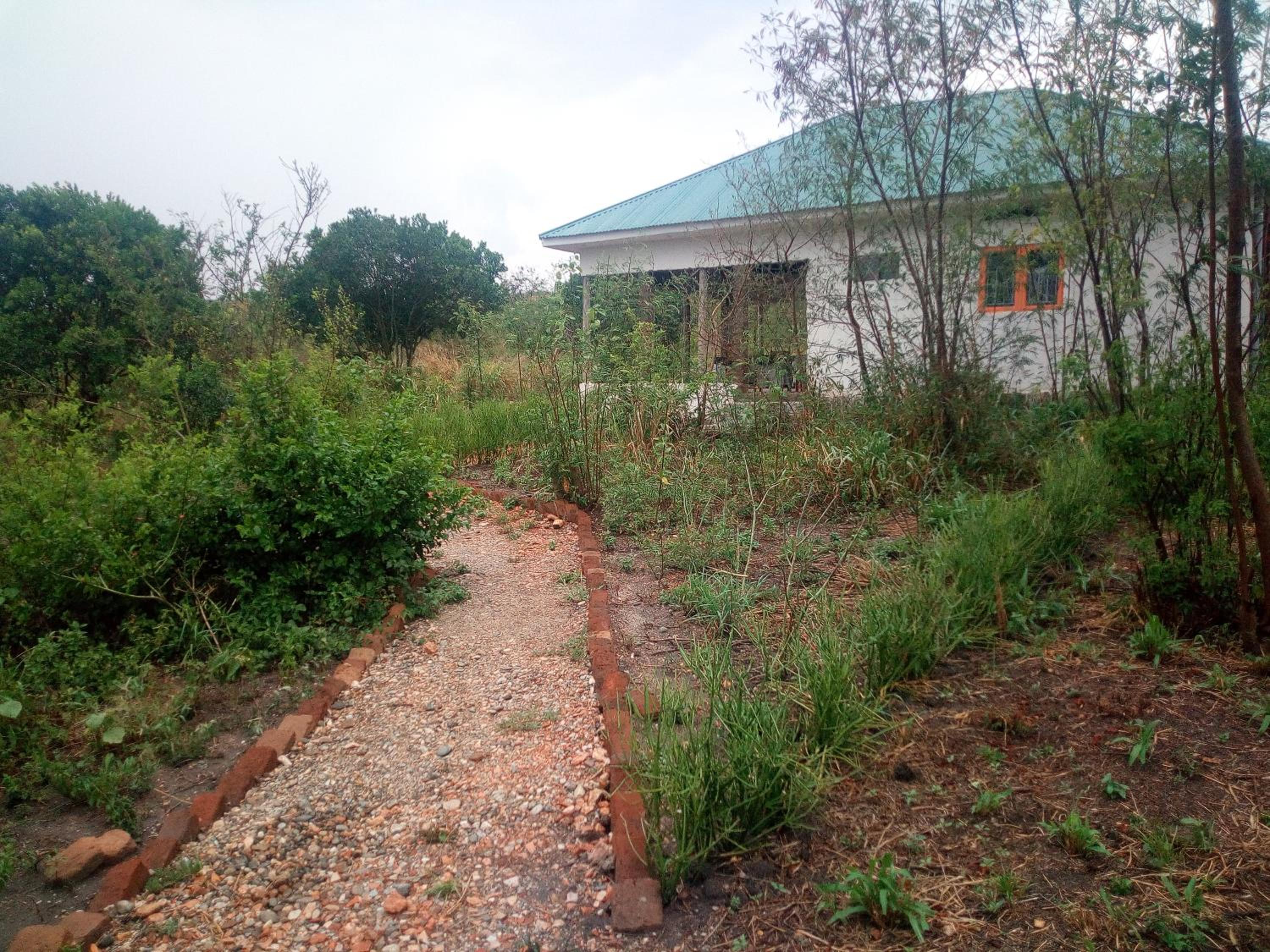 The Elephant Home
