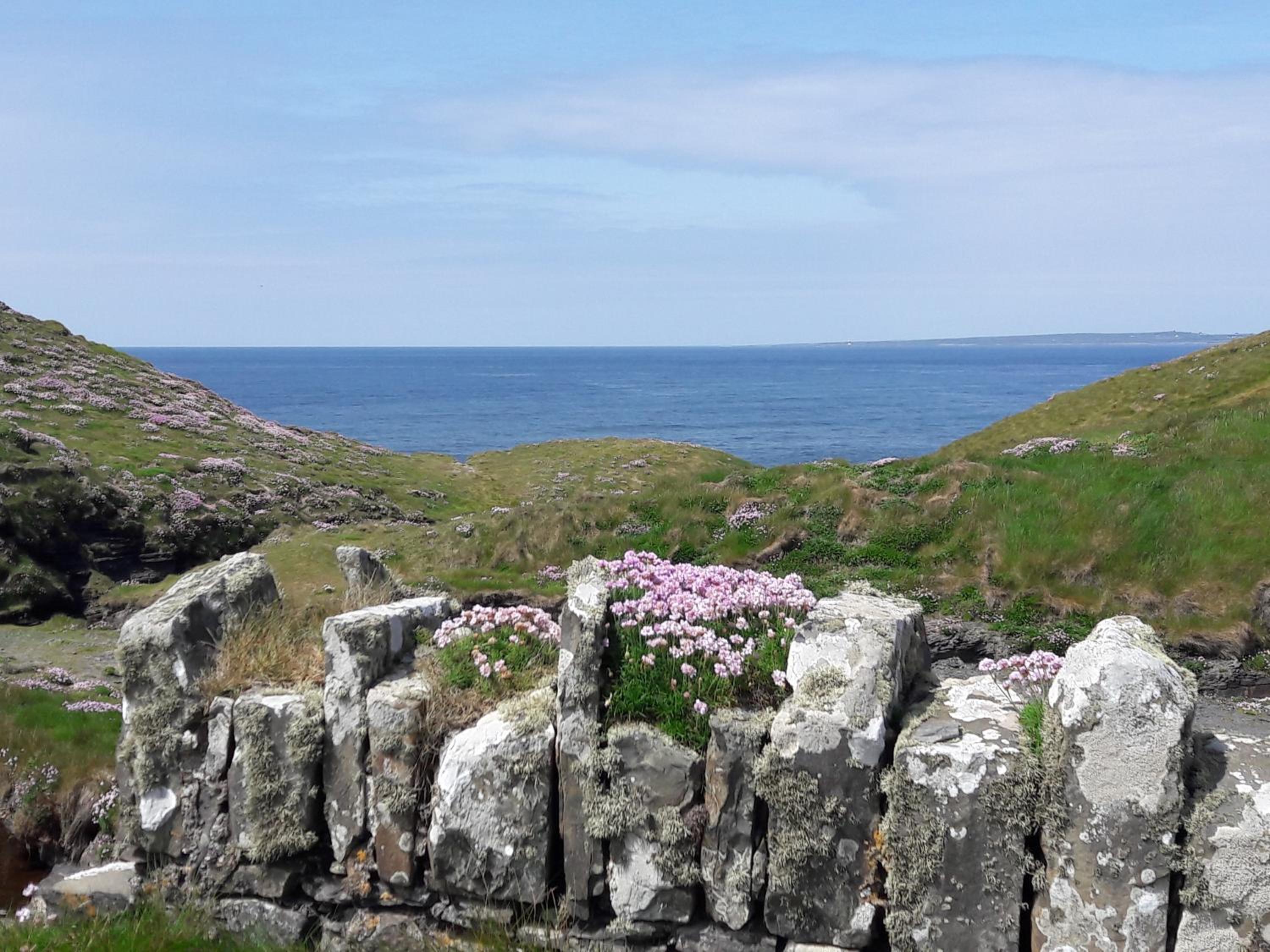 Cois Na hAbhann view 2