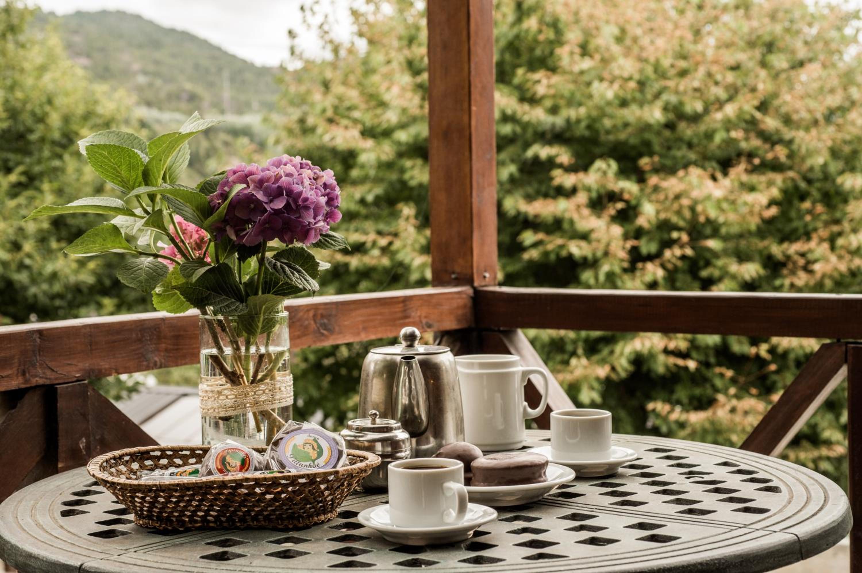 Cabañas y Spa Antuen