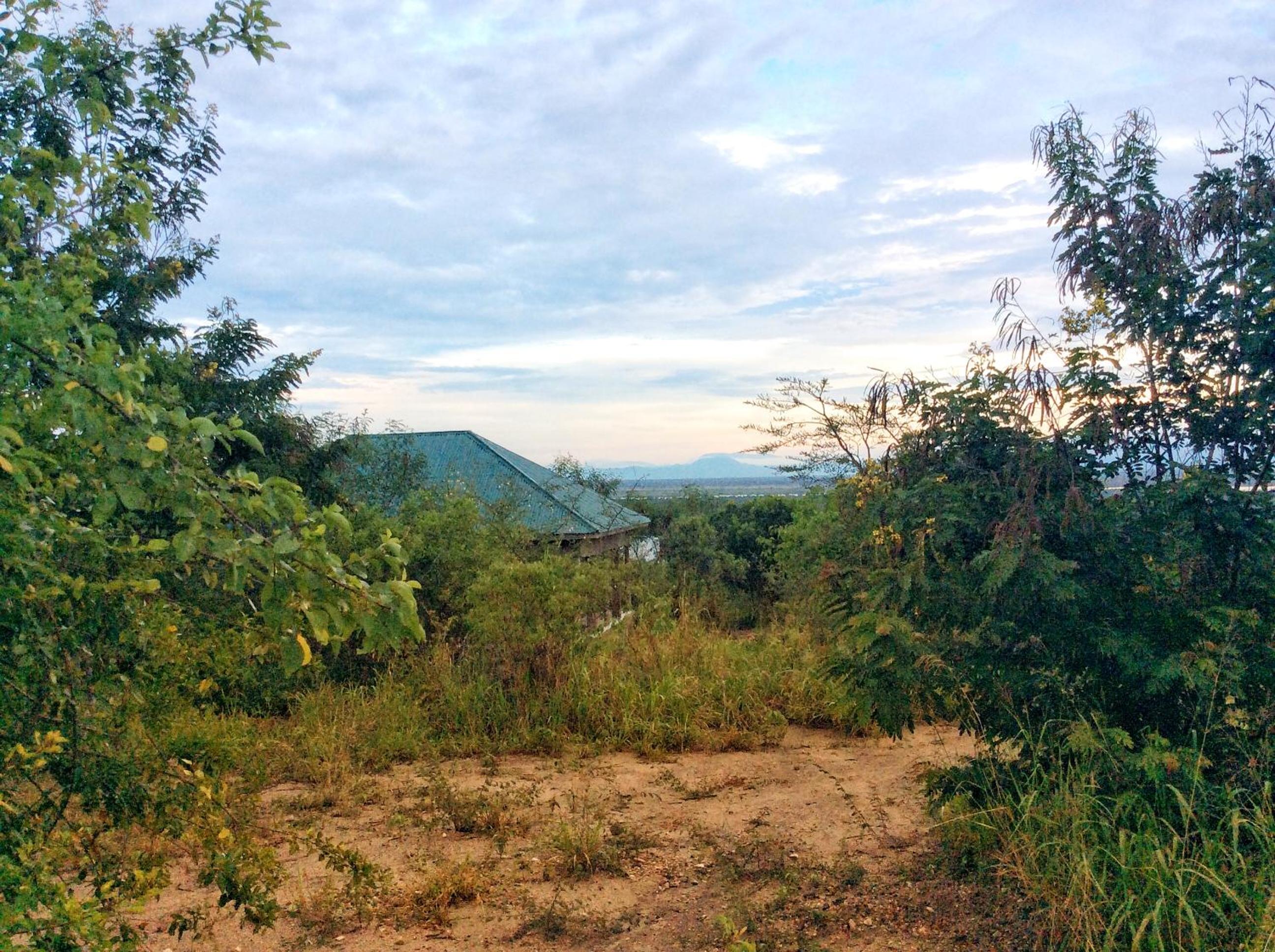 The Elephant Home