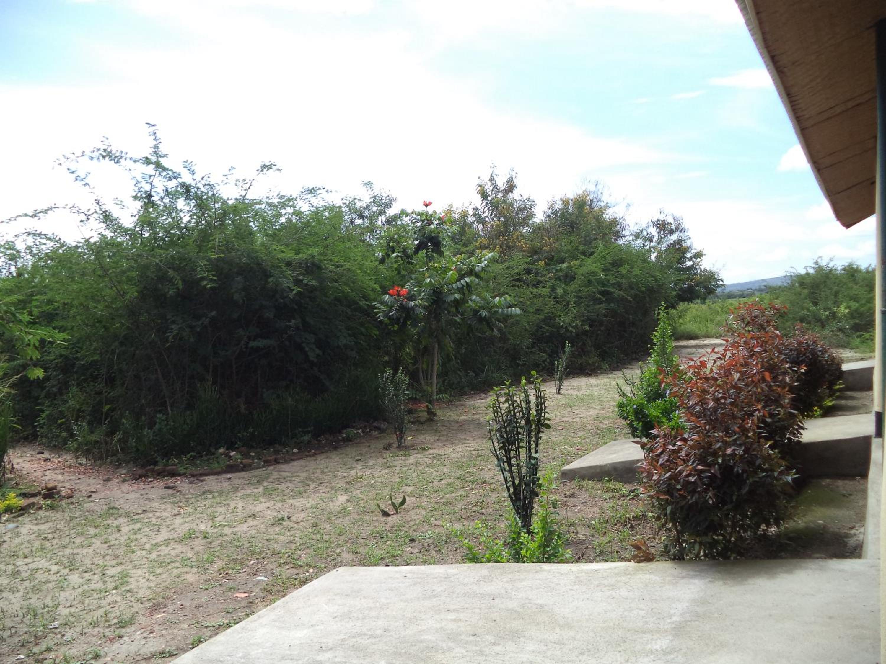 The Elephant Home