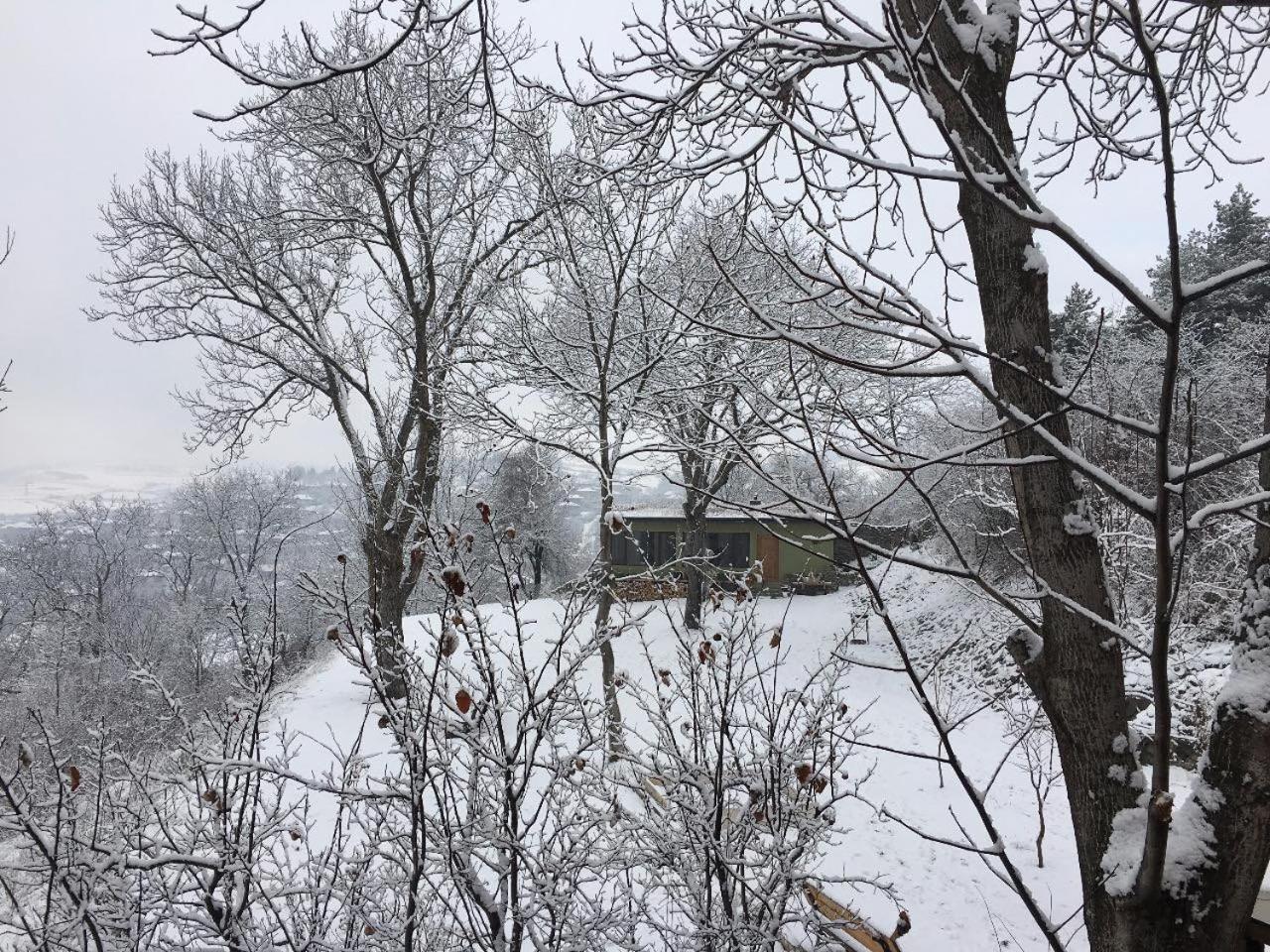 Cozy cottage in countryside close to Tbilisi view 4