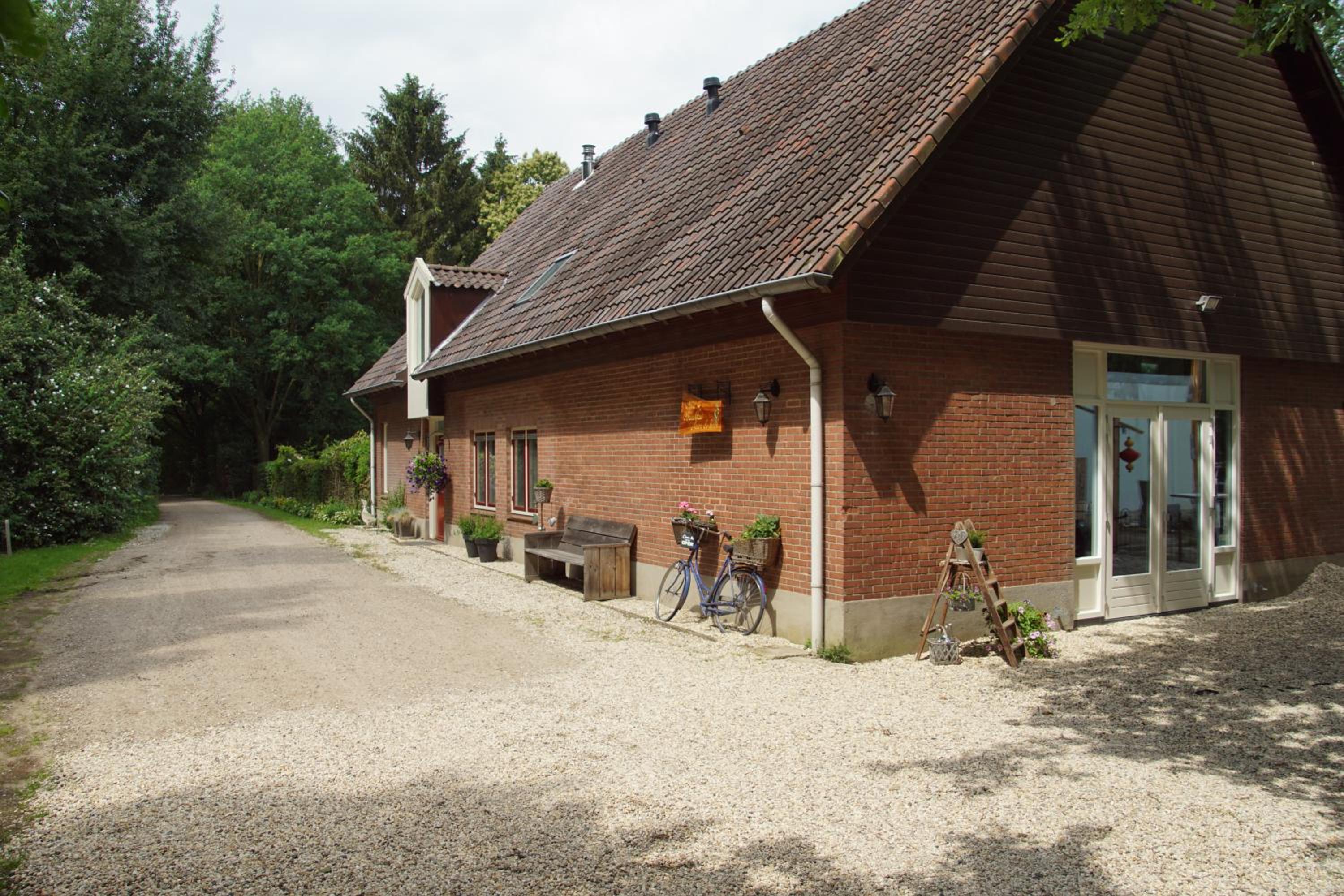 Photo 8