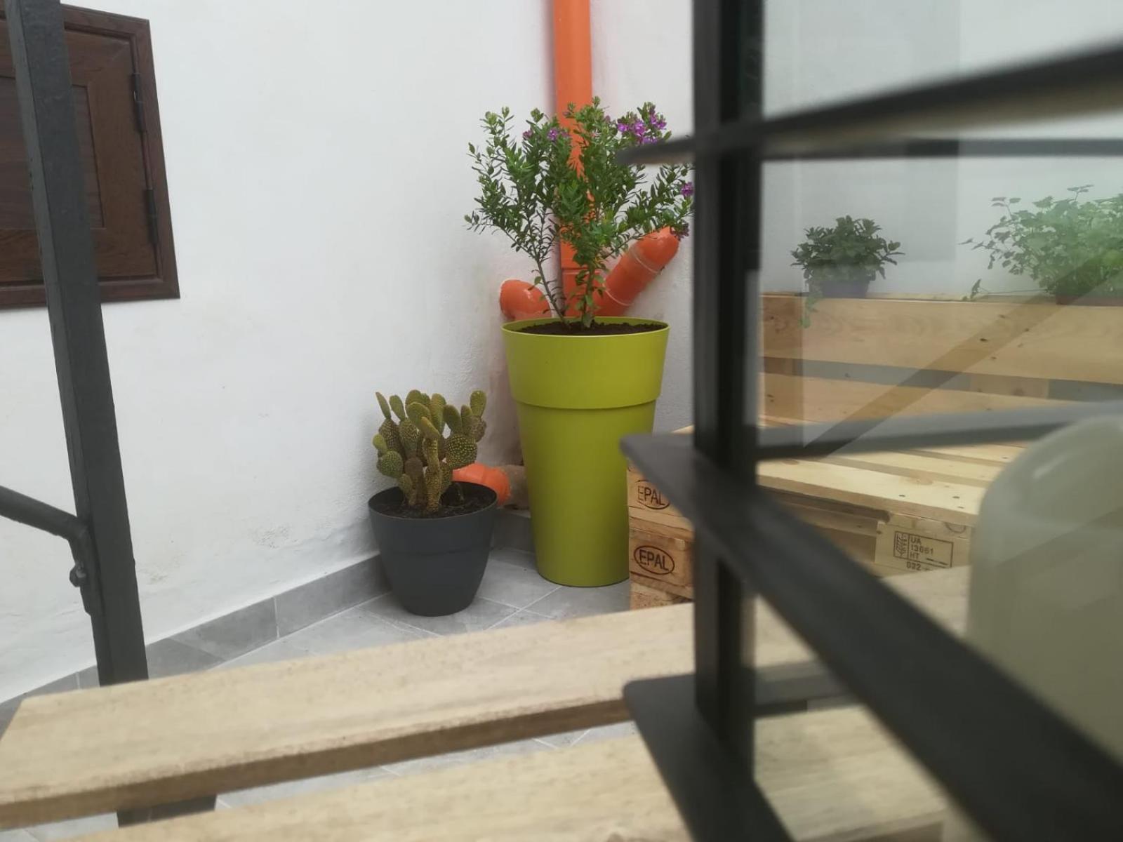 Sofia Pretty Appartament en Palermo — other