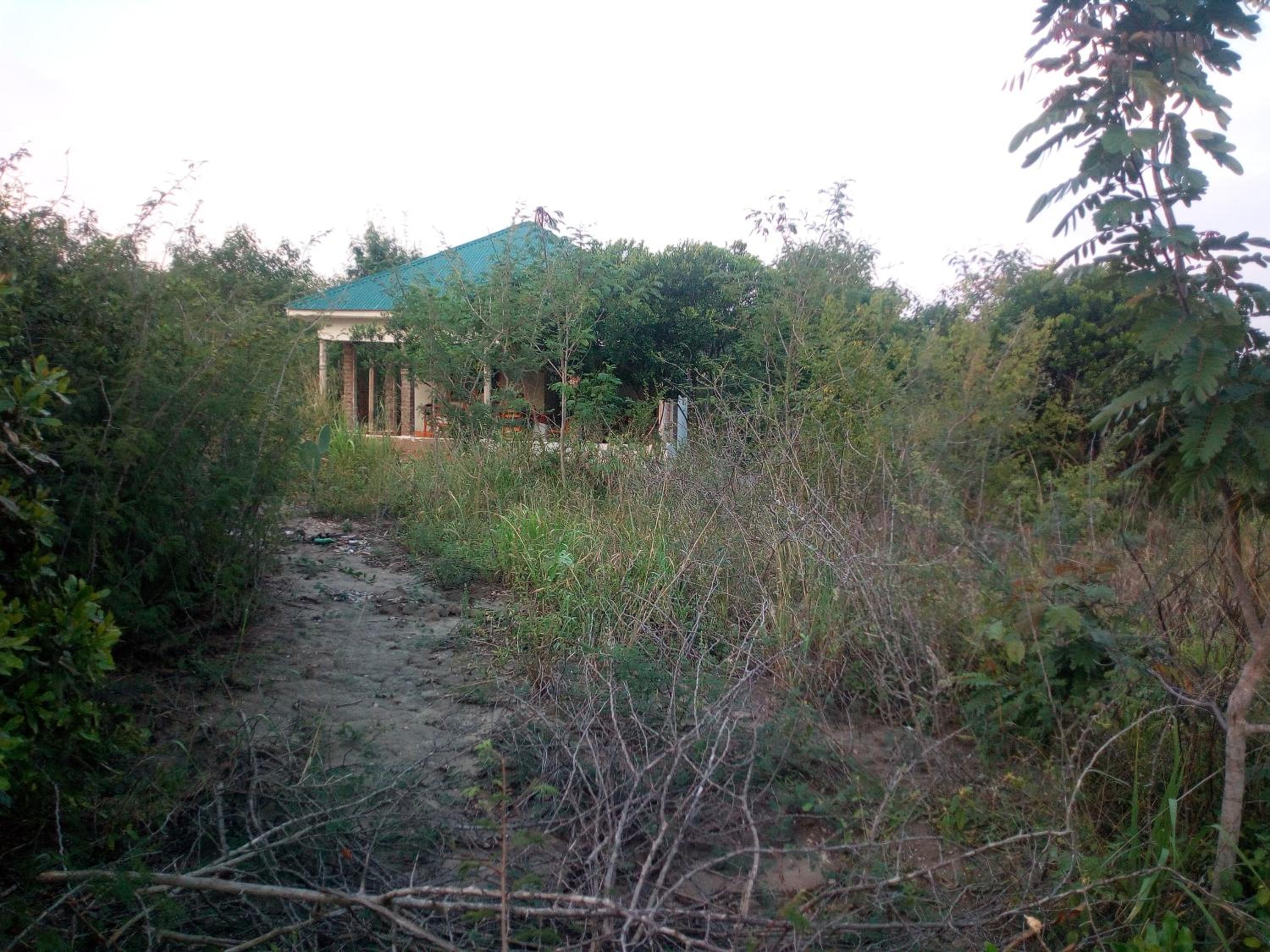 The Elephant Home
