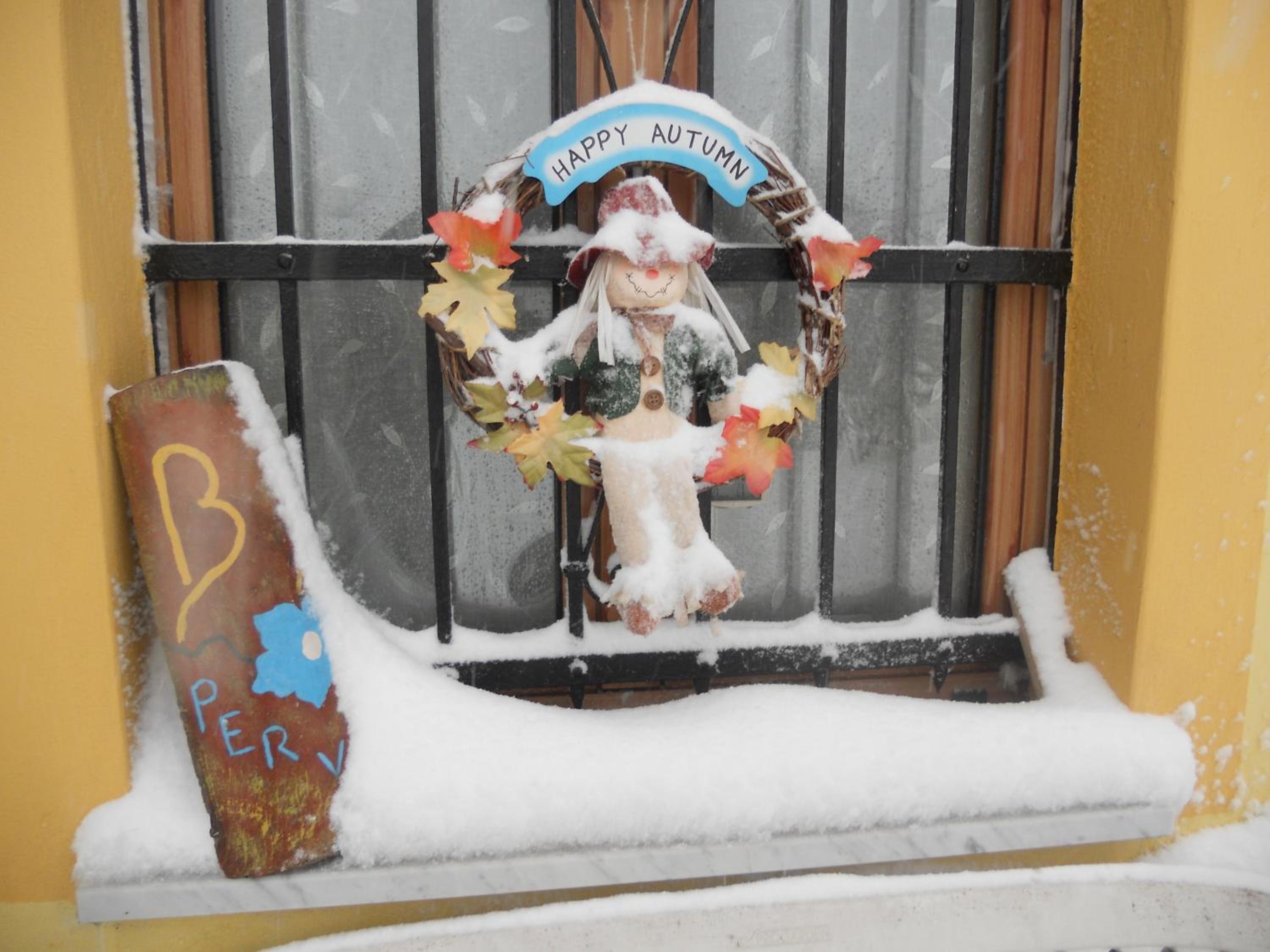 B&B Pervinca