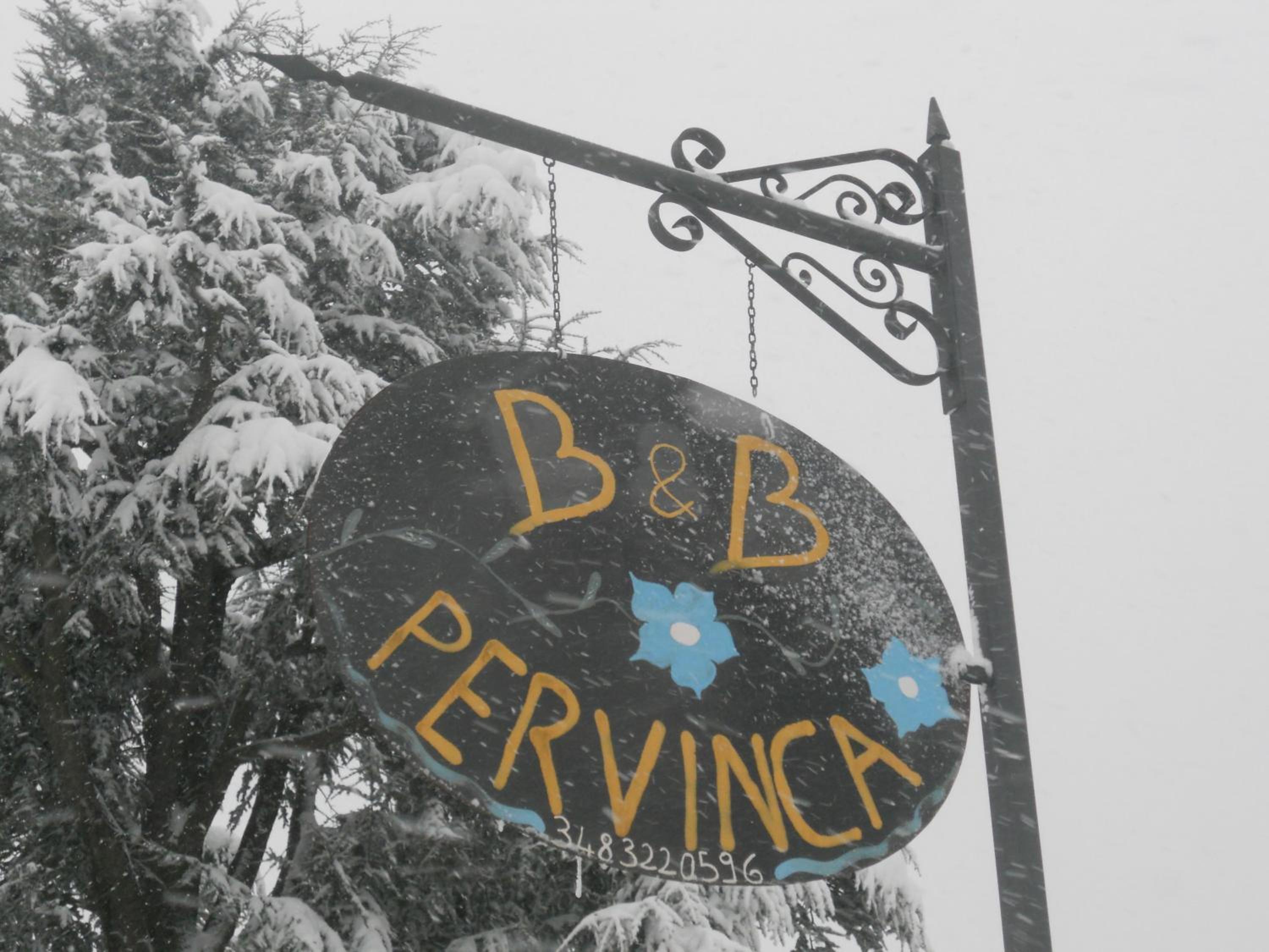 B&B Pervinca