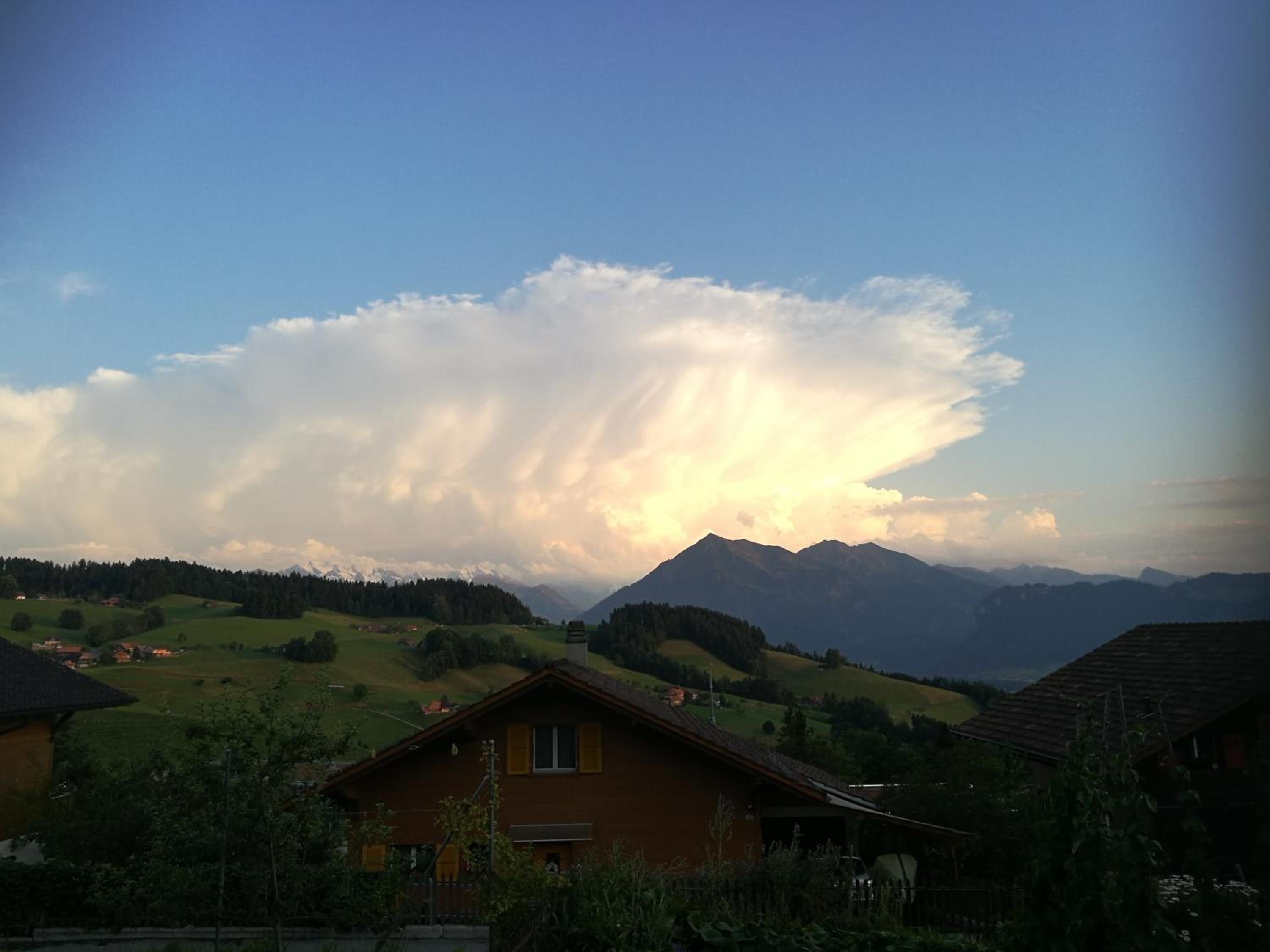 Photo 28