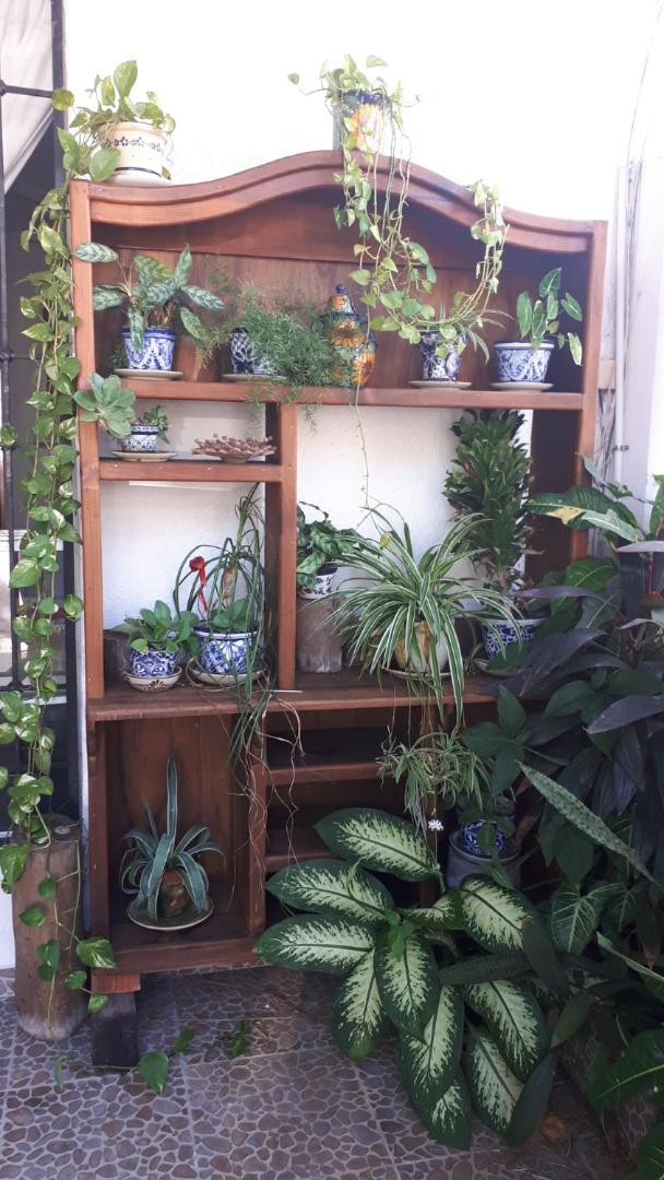 Casa Nona Azul