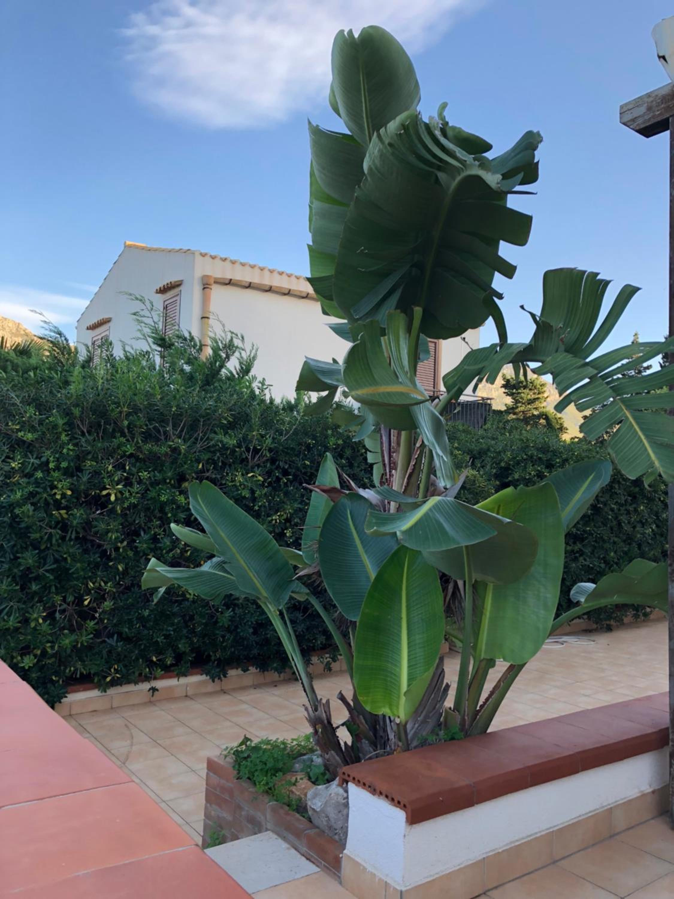 Villa a San Vito lo Capo Minaudo view 5