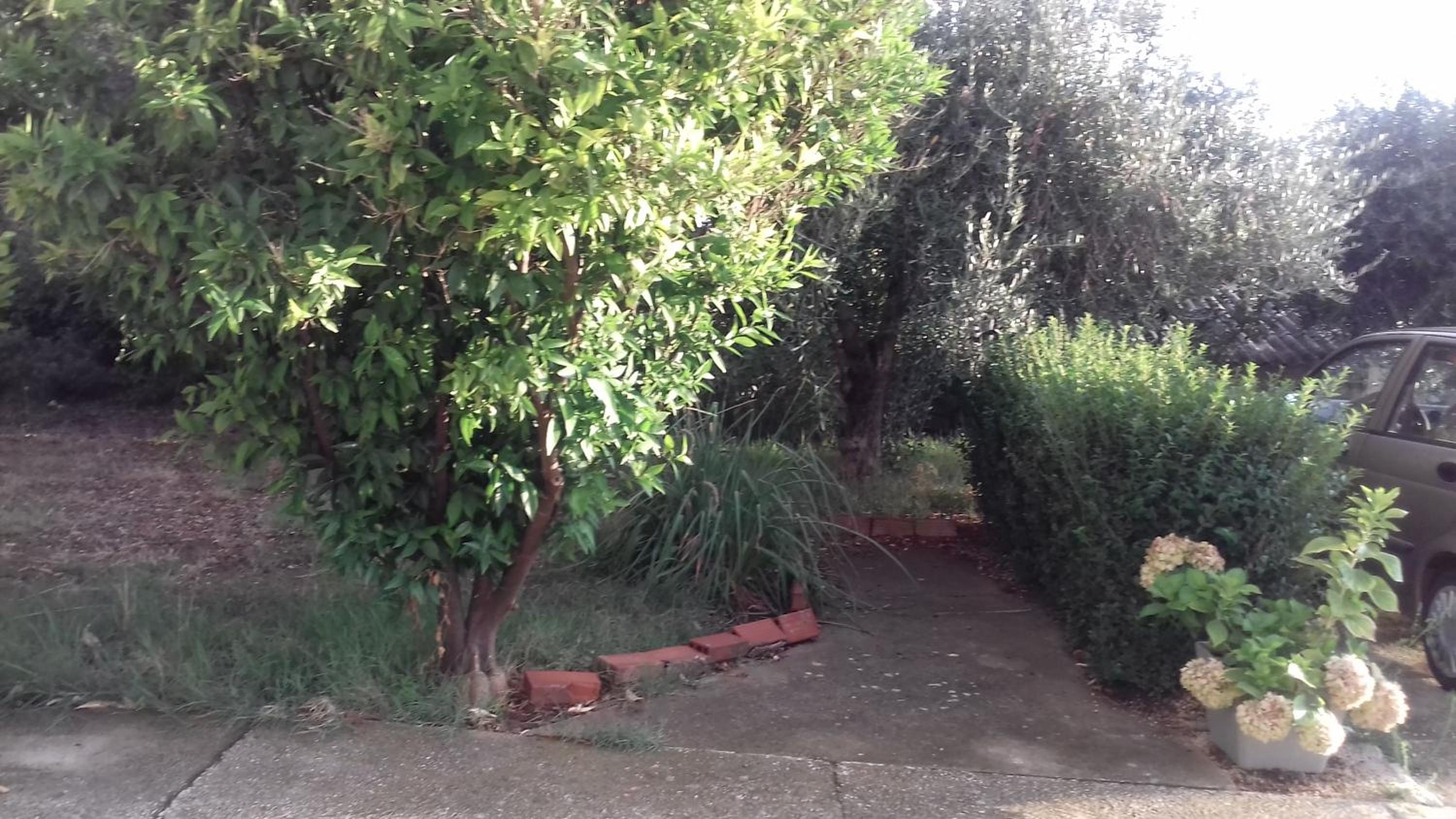 Photo 29