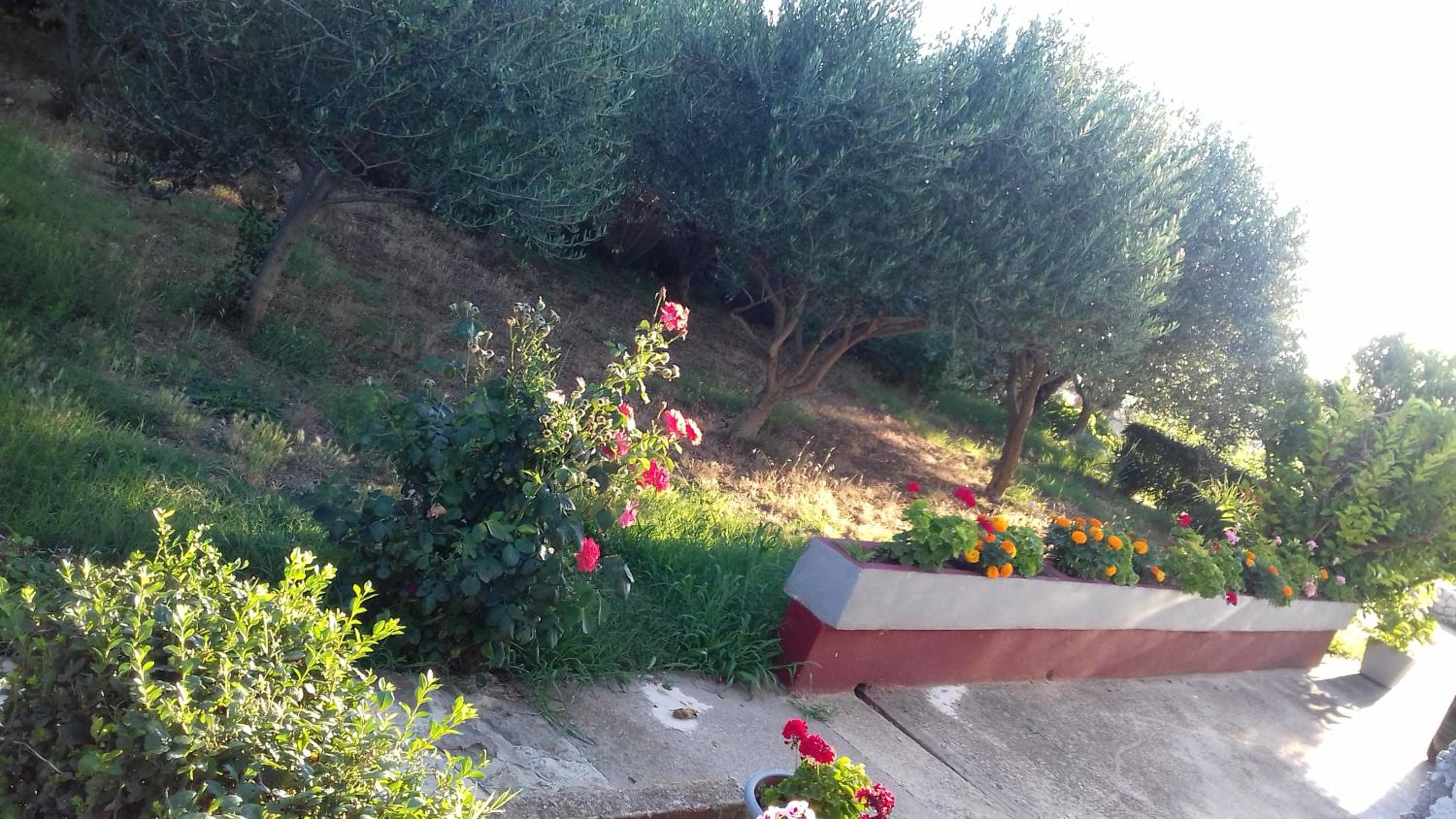 Photo 26